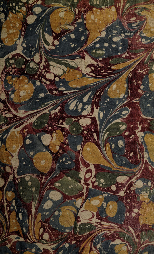 No text description is available for this image