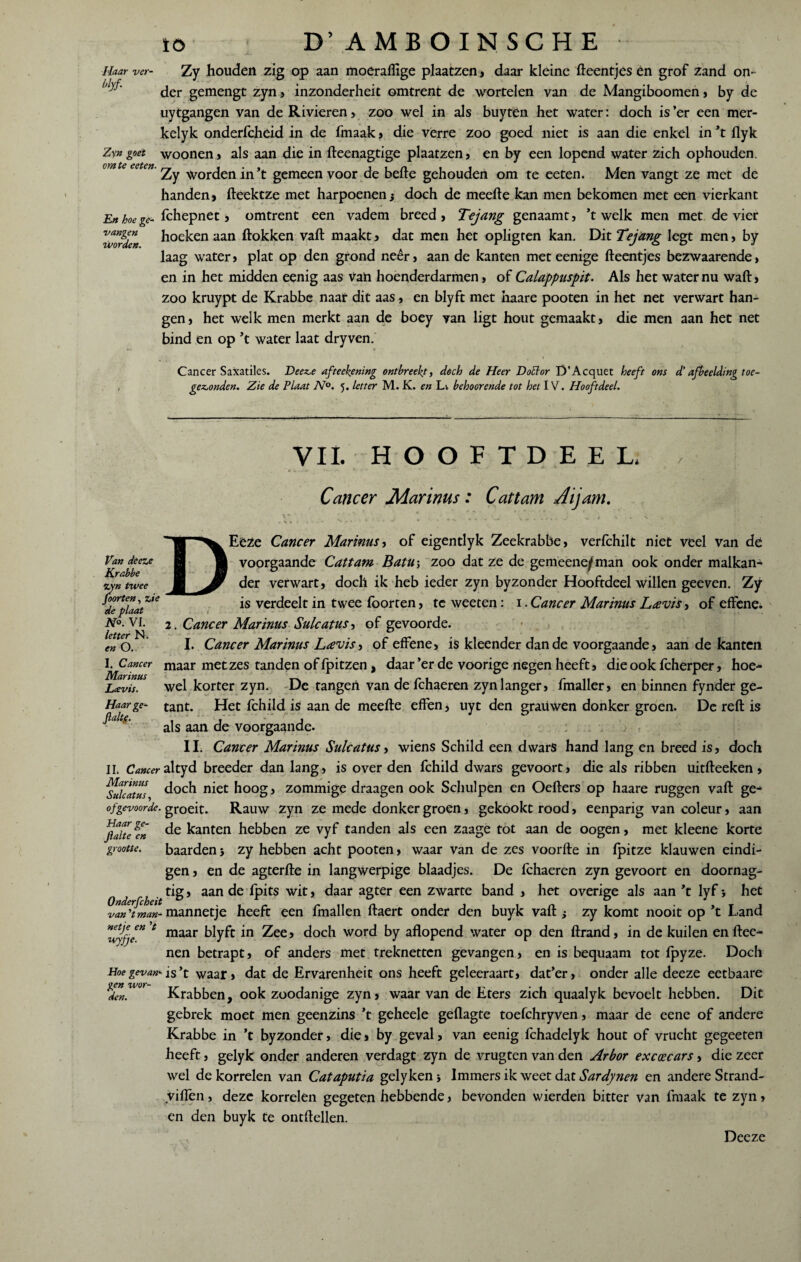 Haar ver- Myf Zyn goet om te eeten. En hoe ge¬ vangen worden. 10 D’AMBOINSCHE ■ Zy houden zig op aan rnoeraflige plaatzen, daar kleine fteentjes én grof zand on¬ der gemengt zyn , inzonderheit omtrent de wortelen van de Mangiboomen, by de uytgangen van de Rivieren, zoo wel in als buyten het water: doch is ’er een mer- kelyk onderfchêid in de fmaak , die verre zoo goed niet is aan die enkel in ’t flyk woonen, als aan die in fteenagtige plaatzen, en by een lopend water zich ophouden. Zy worden in’t gemeen voor de befte gehouden om te eeten. Men vangt ze met de handen, fteektze met harpoenen j doch de meefte kan men bekomen met een vierkant fchepnet , omtrent een vadem breed , Tejang genaamt, ’t welk men met de vier hoeken aan ftokken vaft maakt, dat men het opligten kan. Dit Tejang legt men, by laag water, plat op den grond neer, aan de kanten met eenige fteentjes bezwaarende, en in het midden eenig aas Van hoenderdarmen, of Calappuspit. Als het water nu waft, zoo kruypt de Krabbe naar dit aas, en blyft met haare pooten in het net verwart han¬ gen, het welk men merkt aan de boey van ligt hout gemaakt, die men aan het net bind en op ’t water laat dry ven. Cancer Saxatiles. Deez,e afteekening ontbreekt, doch de Heer Doctor D’Acquet heeft ons d’afbeelding toc- gez>onden. Zie de Plaat N°. 5. letter M. K. en Li behoorende tot het IV. Hooft deel. Van deeze Krabbe •zyn twee foorten, zie de plaat N°. VI. 2 letter N. en O. D VII. HOOFTDEEL. Cancer Marinus: Cattam Ai jam. * * . . . ,,, 'c . . * * , .J «. i h • * \ ' f *. • ■ . i ^ * 1 ^ * Ette Cancer Marinus, of eigentlyk Zeekrabbe, verfchilt niet veel van dë voorgaande Cattam Batu\ zoo dat ze de gemeene^man ook onder malkan¬ der verwart, doch ik heb ieder zyn byzonder Hooftdeel willen geeven. Zy is verdeelt in twee foorten, te weeten: i. Cancer Marinus Ltevis, of effene. • » k * >. Cancer Marinus Sulcatus, of gevoorde. • . I. Cancer Marinus Leevis, of effene, is kleender dan de voorgaande, aan de kanten I^Cancer maar met zes tanden of fpitzen, daar’er de voorige negen heeft, die ook fcherper, hoe- Lcevis. wel korter zyn. De tangen van de Ichaeren zyn langer, fmaller, en binnen fynder ge- Haarge- tant. Het fchild is aan de meefte effen, uyt den grauwen donker groen. De reft is ^altS' als aan de voorgaande. ; ... II. Cancer Marinus Sulcatus, wiens Schild een dwars hand lang en breed is, doch II. Cancer altyd breeder dan lang, is over den fchild dwars gevoort, die als ribben uitfteeken, ^Sulcatm niet hoog, zommige draagen ook Schulpen en Oefters op haare ruggen vaft ge- of gevoorde. groeit. Rauw zyn ze mede donker groen, gekookt rood, eenparig van coleur, aan jlaUefn ^anten hebben ze vyf tanden als een zaage tot aan de oogen, met kleene korte grootte. baarden i zy hebben acht pooten, waar van de zes voorfte in fpitze klauwen eindi¬ gen , en de agterfte in langwerpige blaadjes. De fchaeren zyn gevoort en doornag- tig, aan de Ipits wit, daar agter een zwarte band , het overige als aan ’t lyf *, het van 't man- mannetje heeft een fmallen ftaert onder den buyk vaft ; zy komt nooit op ’t Land Zyfje™ * maar blyft in Zee, doch word by aflopend water op den ftrand, in de kuilen enftee- nen betrapt, of anders met treknetten gevangen, en is bequaam tot Ipyze. Doch Hoe gevam is ’t waar, dat de Ervarenheit ons heeft geleeraart, dat’er, onder alle deeze eetbaare Krabben, ook zoodanige zyn, waar van de Eters zich quaalyk bevoelt hebben. Dit gebrek moet men geenzins ’t geheele geflagte toefchryven, maar de eene of andere Krabbe in ’t byzonder, die, by geval, van eenig fchadelyk hout of vrucht gegeeten heeft, gelyk onder anderen verdagt zyn de vrugten van den Arbor excoecars, die zeer wel de korrelen van Cataputia gelyken Immers ik weet dat Sardynen en andere Strand- yiffen, deze korrelen gegeten hebbende, bevonden wierden bitter van fmaak te zyn, en den buyk te ontftellen. gen wor¬ den. Deeze