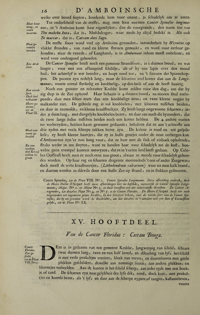Haar bena¬ ming , en reden waarom. Waar ge¬ vonden worden. Ren derde foort. Een vierde foort. Doch heel zeltzaam. Haare ge¬ daante , zie de Plaat IX. Word voor onnut ge¬ houden. En zyn veeltvts mei È.oraal takken be¬ groeit. 16 D’ AMBOINSCHE weder over boord fmyten , houdende hem voor onnut , ja fchadelyk om te eeten. Tot ondeiTcheid van de eerfte, mag men haar noemen Cancer Spinofus longima- nus, in ’t Amboins komt haar eigentlyker, dan de voorgaande, den naam toe van Thu makekit huta-i dat is, Mofchdrager, waar mede hy altyd bedekt is. Als ook Tu maccar, dat is, Cateam duri Sagu. De eerfte foort word veel op Amboina gevonden, inzonderheit by Weynitoe op vlakke ftranden , van zand en kleene fteenen gemaakt, en word voor eetbaar ge¬ houden} maar de tweede, of Langhand, is in Amboinaas inham meeft onbekent, en werd voor ondeugend gehouden. De Cancer Spinofus heeft noch een gemeene Strandfoort, is 2 duimen breed, en wat langer , voor met een afhangend fchildje, als of hy een lapje over den mond had, het achterlyf is wat breeder, en loopt rond toe, na ’t fatzoen der Spinnekop- pen. De pooten zyn redelyk lang, maar de fchaeren veel korter dan aan de Longi- manusi voorts overal fteekelig en knobbelig, op den buik of aan de borft haairig. Noch een grooter en zeltzamer Krabbe komt zelden voor den dag, om dat hy zig diep in de Zee ophoud. Haar lichaam is 4. duimen breed, navöoren fmal toelo¬ pende, daar men fchier niets dan een knobbelige neus, en t\Vee kleene oogjes by malkander ziet. De geheele rug is vol knobbelen, met klooven tuftchen beiden, en daar in zeemofch, en kleene kraalftruikjes. Zy heeft lange ongewoone fchaeren j ie¬ der 9 duim lang, met diergelyke knobbelen bezet, en daar aan noch dit byzonders, dat de twee lange leden tuftchen beiden noch een korter hebben. De 4 andere voeten ter wederzyden , hebben haare gewoone gedaante * behalven dat ze aan ’t achterfte aan drie zyden met veele fcherpe takken bezet zyn. De koleur is rood en wit gefpik- kelt} zy heeft kleene baartjes, die zy in holle geutjes onder de neus verbergen kan. d’Ambonezen zyn’er zoo bang voor, dat ze haar met de fuik of vishoek ophalende, ftraks weder in zee fmyten, want ze houden haar voor fchadelyk tot de koft, hoe- welze geen exempel konnen aanwyzen , dat ze in’t eeten leed heeft gedaan. Op Cele- bes Ooftkuft heeft men ze noch eens zoo groot, alwaar ze meede voor fchadelyk gehou¬ den worden. Op haar rug en fchaeren dragenze meerendeels ’t een of ander Zeegewas > doch meeft de witte kraalboortjes, (jLithodendrum calcarnm) waar uit men kalk brand, en daarom worden ze dikwils door een holle Zee op ftrand , en in ftukken gefmeeten. Cancer Spinofus, zie de Plaat VIII. N°. 1. Cancer Spinofus Longimanus. Deze afbeelding ontbrak, doch de Heere DoElor d’Acquet heeft twee afbeeldingen hier toe befchikt, namentijk de Cancer Spinofus Longi¬ manus , Major. N°. Z. én Minor N°. f en daar benejfens een der alderraarjfe Kreeften. De Cancer A- ragnoides, zie dezelve Plaat N°. 4. en N°. f. is de Cancer Florides. De Heere d’Acquet heeft ons noch toegezonden een ongemeene groote Krabbe, by den Schryver bekent, voor de vierde foort van de Cancer Spi- nofiis, die by ons genaamt word de Rotskrabbe, om dat dezelve in V aanzien wel een Rots of Koraaljleen geijkt j zie de Plaat N°. IX. XV. HOOFTDEEL. Fsn de Cancer Floridus : Cattam P>on?a. o Cancer Floridus. Zyn ge- ftalte , zie de Plaat VIII. N°.f. Eze is in gedaante van een gemeene Krabbe, langwerpig van fchild* fchaars twee duimen lang, twee en een half breed, en dikachtig van lyf> hetfchild is met veele peukeltjes verciert, bleek van verwe, en daarenboven met geele plekken gefchildert, dewelke aan zommige linien, aan andere plekken, en bloemtjes verbeelden. Aan de kanten is hetfchild fcherp, aan ieder zyde met een hoek¬ je of tand. De fchaeren zyn naargelykheitdes lyfs dik, rond, doch kort, met peukel- fjes en korrels bezet, als ’t lyf, en daar aan de fcherpe nypers of tangen, kaftaniebruin, voorts