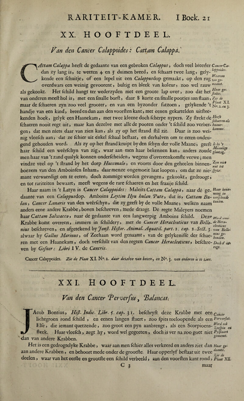 XX. HOOFTDEEL. Vcin den Cancer Calappoides: Cattam Calappa. Attam Calappa heeft de gedaante van een gebroken Calappus, doch veel breeder Cancer Ca.* dan zy lang is, te weeten 4 en y duimen breed, en fchaars twee lang , gely- laMotdeSm kende een fchuitje, of een lepel uit een Calappusdo^p gemaakt, op den rug Z00ge- overdwars een weinig gevoorentj bultig en bleek van koleur* zoo wel rauw mamt- als gekookt. Het fchild hangt ter wederzyden met een groote lap over, zoo dat hetJJ^.^ van onderen meeft hol is, met een fmalle borft, daar 8 korte en fmalle pootjes aan ftaan, Zie de X » jp/ ^ j maar de fchaeren zyn zoo veel grooter, en van een byzonder fatzoen , gelykende *t no1,„3: handje van een kind, breed en dun aan den voorften kant, met eenen gekartelden uitftee- kenden hoek, gelyk eenHaanekam, met twee kleene doch fcherpe nypers. Zy ftrekt de JCrOUCY'6/l Uli fchaeren nooit regt uit, maar kan dezelve met alle de pooten onder ’t fchild zoo verber- haam- gen, dat men niets daar van zien kan, als zy op het ftrand ftil zit. Daar is zoo wei- ’ nig vleeich aan, dat ze fchier uit enkel fchaal beftaat, en derhalven om te eeten ondeu¬ gend gehouden word. Als zy op het ftrand kruipt byden fchyn der volle Maane j geeft Is by 't haar fchild een weêrfchyn van zig, waar aan men haar bekennen kan, anders zoude ^janzlgf men haar van ’t zand qualyk konnen onderfcheiden, wegens d’overeenkomfte verwe 5 men vindze veel op ’t ftrand by het dorp Hucconalo, en voorts door den geheelen binnen- boézem van den Amboinfèn Inham, daarmenze ongemoeit laatloopen, omdat ze mt-jpyze. mant vérwaerdigt om te eetenj doch zommige worden gevangen, gekookt, gedroogt, en tot rariteiten bewaart, meeft wegens de rare fchaeren en het fraaije fchild. Haar naamin ’t Latyn is Cancer Calappoides: Maleits Cattam Calappa, naar de ge- Haar bem> daante van een Calappusdotp. Amboins Leytim Hyu hulan Bute, dat is, Cattam Bu- Zerfcheide lan> Cancer Lunaris van den weêrfchyn, die zy geeft by de volle Maanes welken naamtaalen' anders eene andere Krabbe, boven befchreven, mede draagt. De regte Maleyers noemen haar Cattam Salwacco 5 naar de gedaante van een langwerpig Amboins fchild. Deze vwr Krabbe komt overeen, immers in Ichildery» mer de Cancer Heracleoticus van Bello- ^ H^era~ nius befchreven, en afgetëkend by Jonfi. Hiftor. Animal. Aquatil. part. 2. cap. 2. Se cl. 3 van Bello- alwaar hy Gallus Marinus, of Zeehaan word genaamt, van de gelykeniflè der fchae- ren met een Haanekam, doch verfchiltvan denregten Cancer Heracleoticus, befchre- Doch i o&» ven by Gefner: Libri I V, de Cancris. Cancer Calappoides. Zie de Plaat XI. N°.2. daar dezelve van hoven, en N°. 3. van onderen is ie zien. regt. XXI. HOOFTDEEL. Van den Cancer Perverfus, Palancas. * l i 5 Acob Bontius, Hift. Indic. Libr.sp.cap. 31. befchryft deze Krabbe met een lichtgroen rond fchild , en eenen langen ftaert, zoo fpits toeloopende als een Elfe, die iemant quetzende, zoo groot een pyn aanbrengt, als een Scorpioens- fteek. Haar vleefch, zegt hy, word wel gegeeten, doch is ver na zoo goet niet ’ <lan van andere Krabben. Het is een gedrogtelyke Krabbe, waar aan men fchier alles verkeerd en anders ziet dan aan andere Krabben, en behoort mede onder de grootfte. Haar opperlyf beftaat uit twee deelen, waar van het eerfte en grootfte een fchild verbeeld, aan den voorften kant rond, C 3 maar Cancer Perverful. Word ook Aeefpin en Pyljiaart genoemt. Haar ge¬ daante. Xye de Plaat XII.