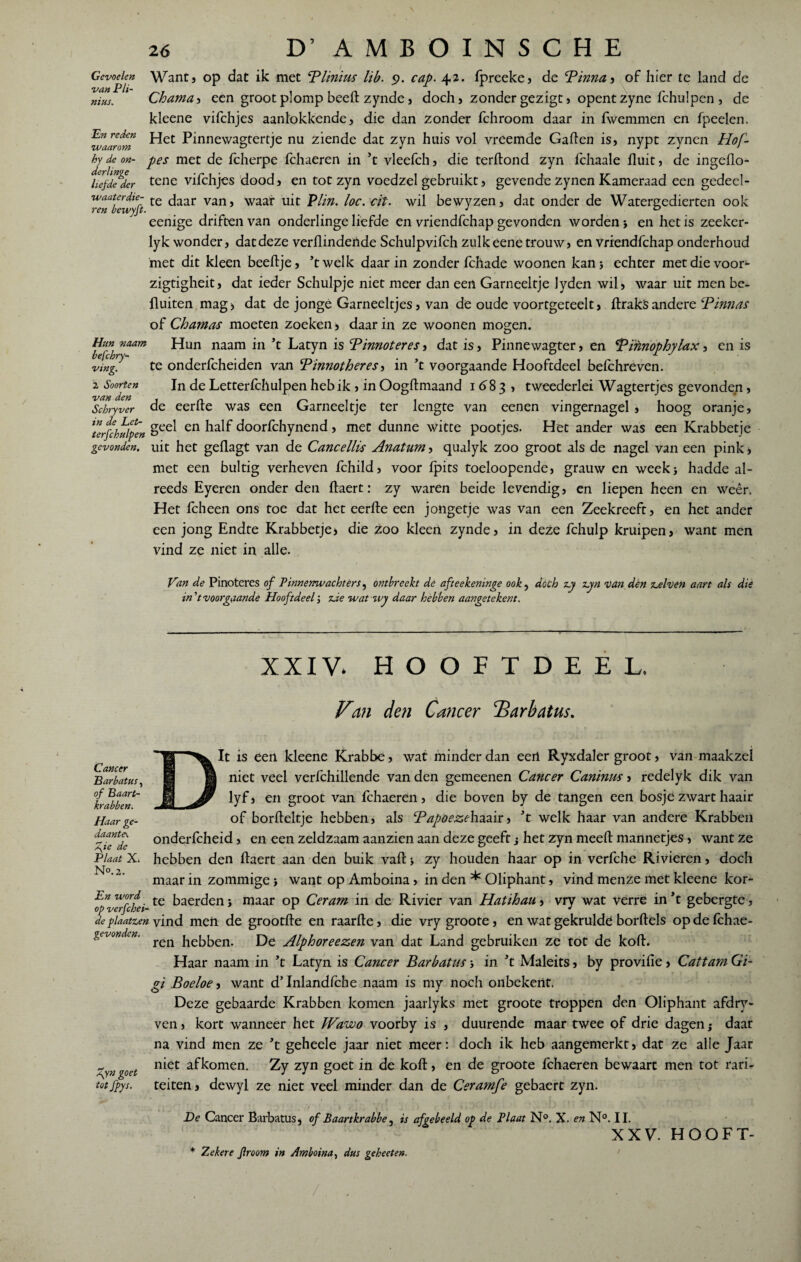 Gevoelen van Pli- nius. En reden waarom by de on¬ derlinge liefde der 26 D’ AMBOINSCHE Wantj op dat ik met Plinius lib. 9. cap. 42. fpreeke, de ‘Pinna , of hier te land de Chama, een groot plomp beeft zynde, doch, zonder gezigt, opent zyne fchulpen, de kleene vifchjes aanlokkende, die dan zonder fchroom daar in fwemmen en fpeelen. Het Pinnewagtertje nu ziende dat zyn huis vol vreemde Gaften is, nypt zynen Hof- pes met de fcherpe fchaeren in ’t vleefch, die terftond zyn fchaale fluit, de ingeflo- tene vifchjes dood, en tot zyn voedzel gebruikt, gevende zynen Kameraad een gedeel- waaterdte- te ,-jaar van Waar uit Plin. loc.cït. wil bewyzen, dat onder de Watergedierten ook ren bewyjt. _ J D eenige driften van onderlinge liefde en vriendfchap gevonden worden j en het is zeeker- lyk wonder, dat deze verflindende Schulpvifch zulk eene trouw, en vriendfchap onderhoud met dit kleen beeftje, ’twelk daarin zonder fchade woonen kan, echter met die voor- zigtigheit, dat ieder Schulpje niet meer dan een Garneeltje lyden wil, waar uit men be- fluiten mag) dat de jonge Garneeltjes, van de oude voortgeteelt, ftrakSandere Pinnas of Cham as moeten zoeken, daarin ze woonen mogen. Hun naam Hun naam in ’t Latyn is Pinnoteres, dat is, Pinnewagter, en Pinnophylax, en is ving. te onderfcheiden van Pinnotheres, in ’t voorgaande Hooftdeel befchreven. 1 Soorten Jn de Letterfchulpen heb ik , in Oogftmaand 1683, tweederlei Wagtertjes gevonden, Schryver de eerfte was een Garneeltje ter lengte van eenen vingernagel , hoog oranje, geel en half doorfchynend, met dunne witte pootjes. Het ander was een Krabbetje uit het geflagt van de Cancellü Anatum, qualyk zoo groot als de nagel van een pink, met een bultig verheven fchild, voor ipits toeloopende, grauw en week, hadde al¬ reeds Eyeren onder den ftaert: zy waren beide levendig, en liepen heen en weêr. Het fcheen ons toe dat het eerfte een jongetje was van een Zeekreeft, en het ander een jong Endte Krabbetje, die zoo kleert zynde, in deze fchulp kruipen, want men vind ze niet in alle. in de Let¬ terfchulpen gevonden. Van de Pinoteres of Pinnenwachters, ontbreekt de afteekeninge ook, doch zy zyn Dan den z-elven aart als die in'tvoorgaande Hooftdeel; zde wat wy daar hebben aangetekent. XXIV. HOOFTDEEL. Van den Cancer Parbatus. Cancer Barbatus, of Baart- krabben. Haar ge¬ daantei \ie de Plaat X. No. 2. En word op verfcbei- de plaatsen gevonden. \y n goet tot fpys. Dit is een kleene Krabbe, wat minder dan eert Ryxdaler groot, van maakzel niet veel verfchillende van den gemeenen Cancer Caninus, redelyk dik van lyf, en groot van fchaeren, die boven by de tangen een bosje zwart haair of borfteltje hebben, als Papoezehaair, ’t welk haar van andere Krabben onderfcheid, en een zeldzaam aanzien aan deze geeft j het zyn meeft mannetjes, want ze hebben den ftaert aan den buik vaft > zy houden haar op in verfche Rivieren, doch maar in zommige > want op Amboina, in den * Oliphant, vind menze met kleene kor¬ te baerden maar op Ceram in de Rivier van Hatihau, vry wat verre in ’t gebergte, vind men de grootfte en raarfte, die vry groote, en wat gekrulde borftels op de fchae¬ ren hebben. De Alphoreezen van dat Land gebruiken ze tot de koft. Haar naam in ’t Latyn is Cancer Barbatus j in ’t Maleits, by provifie, Cattam Gi- gi Boeloe, want d’Inlandfche naam is my noch onbekent. Deze gebaarde Krabben komen jaarlyks met groote troppen den Oliphant afdry- ven, kort wanneer het IVawo voorby is , duurende maar twee of drie dagen} daar na vind men ze ’t geheele jaar niet meer: doch ik heb aangemerkt, dat ze alle Jaar niet afkomen. Zy zyn goet in de koft, en de groote fchaeren bewaart men tot rari¬ teiten, dewyl ze niet veel minder dan de Ceramfe gebaert zyn. De Cancer Barbatus, of Baartkrabbe, is afpebeeld op de Plaat N°. X. en N°. II. XXV. HOOFT' * Zekere froom in Amboina, dus geheeten■ /