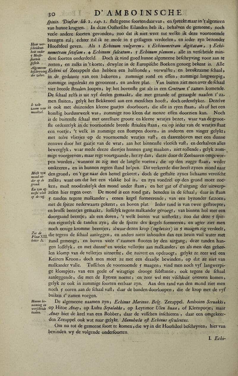 Is Zelt- zaam van maakzel. 30 D’ AMBOINSCHE fpinis. 'Diofcor. lib. 2. cap. 1. ftelt geene foorten daarvan , en fpreektmaar in ’t algemeen van hunne kragten. In deze Oofterfche Eilanden heb ik, behalven de gemeene, noch veele andere foorten gevonden, 200 dat ik niet weet tot welke ik deze voornoemde brengen zal; echter zal ik ze mede in y gellagten verdeden, en ieder zyn bezonder flbeident- Hooftdeel geven. Als 1 Echinum vulgarem, 2 Echinometram digitatam, 3 Echi- heit onder rtometram fetofam , 4. Echinum fulcatum, y Echinum planum, alle in verfcheide min» jbortefz dere foorten onderdeeld. Doch ik vind goed hunne algemeene befchryving voor aan te gejielt. zetten, en zulks in’t korte, dewylze in de Europifche Boeken genoeg bekent is. Alle befchryving Echini of Zeeappels dan hebben een halfronde , verwulfte, en breukzaame fchaal, der zelve. jn ^ gecjaante van een bakoven j zommige rortd en effen, zommige langwerpig, zommige ingedrukt en gevoorent, en andere plat. Van buiten ziet men over de fchaal vier breede ftraalen loopen, by het bovenfte gat als in een Centrum t* zamen komende. De fchaal zelfs is uit vyf deden gemaakt, die met getande of gezaagde naaden t’za¬ men fluiten, gelyk het Bekkeneel aan een menfchen hooft, doch ordentlyker. Dezelve is ook met duizenden kleene gaatjes doorboort, die alle in ryen ftaan, als of het een konflig borduurwerk was, zommige zoo kleen dat menze effen doorzien kan. Noch is de buitenfle fchaal met ontelbare groote en kleene wratjes bezet, waar van de groot- fle ordentelyk in de voornoemde breede ftraalen ftaan, en op ieder van de wratjes ftaat een voetje, ’t welk in zommige een ftompen doorn, in anderen een vinger gelykt, met teêre vliesjes op de voornoemde wratjes vaft, en daarenboven met een dunne zenu we door het gaatje van de wrat, aan het binnenfte vleefch vaft, en derhalven alles beweeglyk, waar mede deeze diertjes hunnen gang maaken, niet rollende, gelyk zom¬ mige voorgeeven , maar regt voortgaande, het zy dan, datze door de Zeebaaren omgewor¬ pen worden, wanneer ze zig met de langfte voeten, die op den rugge ftaan, weder omkeeren, en in hunnen regten ftand helpen. Dit verkeerde dier heeft zynen mond naar den grond, en’t gat naar den hemel gekeert, doch de geftalte zynes lichaams vereifcht der op de zulks j want om dat het een vlakke bol is, en zyn voedzel op den grond moet zoe- ken, moft noodzakelyk den mond onder ftaan, en het gat of d’uitgang der uitwerp- urge vlak zelen hier tegen over. De mond is een rond gat, beneden in de fchaal; daar in ftaan op de rug. ^ tanden tegens malkander, eenen kegel formeerende, van een byzonder fatzoen, met de fpitze nederwaarts gekeert, en boven plat. Ieder tand is van twee geftreepte, en broflè beentjes gemaakt, loftèlyk tegens malkander gévoegt, van binnen hol met een doorgaand beentje, als een doren, ’t welk buiten wat uitfteektzoo dat deze y fpit- zen eigentlyk de tanden zyn, die de fpitze des kegels formeeren, en agter ziet men noch eenige kromme beentjes, alwaar dezen krop (ingluvies) in y maagenzig verdeelt, PfaJxiU ^fc tegens l'chaal aanleggen, en anders niets inhouden dan een bruin vuil water met letter A. zand gemengt, en boven weêr t’ zaamen ftooten by den uitgang ■, deze tanden han¬ gen loftèlyk, en met dunne en weeke velletjes aan malkander, en als men den geheet len klomp van de velletjes uitneemt, die zuivert en opdroogt, gelykt ze zeer wel een Keizers Kroon, doch men moet ze met een draadje bewinden, op dat ze niet van malkander valle. Tuiïchen de voornoemde y maagen, vind men noch vyf langwerpi¬ ge klompjes, van een geele of witagtige drooge fubftantie, ook tegens de fchaal aanleggende, die men de Eyeren noemt, en zeer wel met vifchkuit overeen komen, gelyk ze ook in zommige foorten eetbaar zyn. Aan den rand van den mond ziet men noch y ooren aan de fchaal vaft, daar de banden doorloopen, die de krop met de vyf buiken t’ zamen voegen. Hunne be- De algemeene naamen zyn> Echinus Marinus. Belg. Zeeappel. Amboins Seruakkiy verfcheide °P Hitoe Anoy, op Luhu Sepalakke, op Leytimor Uien huaa, of Kleenpotje j maar taaien. Anay hiet de keel van een Bobber, daar de viflchen infchieten , daar een omgekeer- den Zeeappel ook wat naar gelykt. Manuhceloe ejl Echinus efculentus. Om nu tot de gemeene foort te komen, die wy in dit Hooftdeel befchry ven, hier van bevinden wy de volgende onderfoorten. I. Echi-