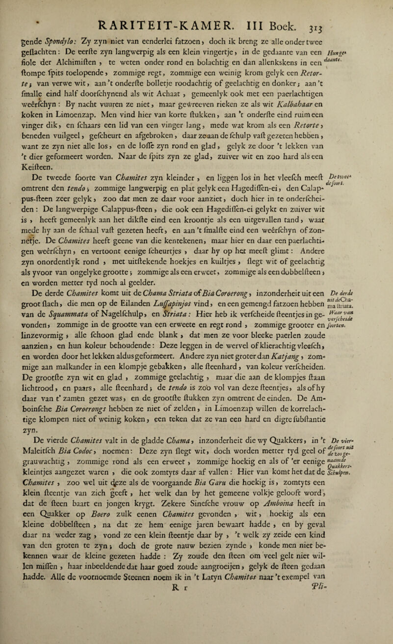 gende Spondylo: Zy zyn niet van eenderlei fatzoen» doch ik breng ze alle onder twee geüachten: De eerde zyn langwerpig als een klein vingertje, in de gedaante van een Hunge* hole der Alchimiften , te weten onder rond en bolachtig en dan allenkskens in een daante' (lompe fpits toelopende , zommige regt, zommige een weinig krom gelyk een Retor- tei van verwe wit, aan’t onderfte bolletje roodachtig of geelachtig en donker; aan’t fmalle eind half doorfchynend als wit Achaat , gemeenlyk ook met een paerlachtigen weêrfchyn : By nacht vuuren ze niet, maar geWreeven rieken ze als wit Kalbahaar en koken in Limoenzap. Men vind hier van korte (lukken, aan *t onderfte eind ruim een vinger dik, en fchaars een lid van een vinger lang, mede wat krom als een Retorte, beneden vuilgeel, gefcheurt en afgebroken, daar ze aan de fchulp vaft gezeten hebben, want ze zyn niet alle los, en de loftc zyn rond en glad, gelyk ze door ’t lekken van ’t dier geformeert worden. Naar de fpits zyn ze glad, zuiver wit en zoo hard als een Keifteen. De tweede foorte van Chamites zyn kleinder , en liggen los in het vleefch meed Detwet* omtrent den tendo; zommige langwerpig en plat gelyk een Hagedidên-ei, den Calap- pus-lleen zeer gelyk, zoo dat men ze daar voor aanziet, doch hier in te onderfchei- den : De langwerpige Calappus-fteen, die ook een Hagediflèn-ei gelykt en zuiver wit is » heeft gemeenlyk aan het dikfte eind een kroontje als een uitgevallen tand» waar mede hy aan de fchaal vaft gezeten heeft» en aan ’t fmalfte eind een weêrfchyn of zon¬ netje. De Chamites heeft geene van die kentekenen, maar hier en daar een paerlachti- gen weêrfchyn, en vertoont eenige fcheurtjes , daar hy op het meeft glimt: Andere zyn onordentlyk rond , met uitftekende hoekjes en kuiltjes , (legt wit of geelachtig als yvoor van ongelyke grootte; zommige als een erweet, zommige als een dobbelfteen, en worden metter tyd noch al geelder. De derde Chamites komt uit de Chama Striata of Bia Coroerong, inzonderheit uit een De derde groot (lach, die men op de Eilanden Lujfapinjos vind, en een gemengd fatzoen hebben niltnata. van de Squammata of Nagelfchülp, en Striata: Hier heb ik verfcheide fteentjes in ge- vonden, zommige in de grootte van een erweete en regt rond , zommige grooter en foortt*. linzevormig , alle fchoon glad ende blank , dat men ze voor bleeke paerlen zoude aanzien, en hun koleur behoudende: Deze leggen in de wervel of klierachtig vleefch, en worden door het lekken aldus geformeert. Andere zyn niet groter dan Katjang, zom- mige aan malkander in een klompje gebakken, alle fteenhard, van koleur verfcheiden. De grootfte zyn wit en glad , zommige geelachtig , maar die aan de klompjes (laan lichtrood, en paars, alle fteenhard; de tendo is zo'o vol van deze fteentjes, alsofhy daar van t’ zamen gezet was, en de grootfte (lukken zyn omtrent de einden. De Am- boinfche Bia Coroerongs hebben ze niet of zelden, in Limoenzap willen de korrelach¬ tige klompen niet of weinig koken, een teken dat ze van een hard en digte fubftantie zyn. De vierde Chamites valt in de gladde Chama, inzonderheit die wy Quakkers, in ’t De vier* Maleitfch Bia Codocj noemen: Deze zyn (legt wit, doch worden metter tyd geel of grauwachtig , zommige rond als een erweet » zommige hoekig en als of ’er eenige n^™kfers kleintjes aangezet waren , die ook zomtyts daar af vallen : Hier van komt het dat de Schulpen* Chamites , zoo wel uit cjpze als de voorgaande Bia Garu die hoekig is, zomtyts een klein (leentje van zich geeft , het welk dan by het gemeene volkje gelooft word, dat de (leen baart en jongen krygt. Zekere Sinefche vrouw op Amboina heeft in een Quakker op Boero zulk eenen Chamites gevonden , wit, hoekig als een kleine dobbelfteen , na dat ze hem eenige jaren bewaart hadde , ert by geval daar na weder zag , vond ze een klein (leentje daar by , ’t welk zy zeide een kind van den groten te zyn; doch de grote nauw bezien zynde » konde men niet be¬ kennen waar de kleine gezeten hadde : Zy zoude den (leen om veel geit nier wil¬ len miflen , haar inbeeldende dat haar goed zoude aangroeijen, gelyk de (leen gedaan hadde. Alle de voornoemde Steenen noem ik in ’t Latyn Chamites naar ’t exempel van R r 37/-