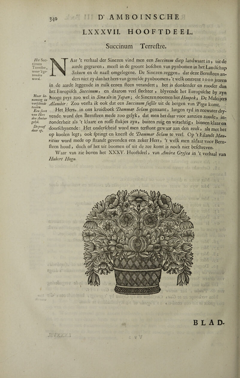34° D’ AMBOINSCHE LXXXVII. HOOFTDEEL. Succinum Terreftre. Aar ’t verhaal der Sinezen vind men een Succinum diep landwaartin j uitdc aarde gegraven , meed in de groote bofchen van pynbomen in hetLandichap Sukuen en de naaft omgelegene. De Sinezen zeggen, dat deze Bernfteen ai> word. ders niet zy dan het hers van gemelde pynboomen, ’t welk omtrent i ooo jaaren in de aarde leggende in zulk eenen fteen verandert} het is donkerder en rooder dan hetEuropifch Succinum ■> en daarom veel flechter , blyvende het Europifche by zyn namin ^in k°°ge Prys 200 we^ Sina als in Japan ; de Sinezen noemen het Houpek', De Maleijers -verfchetde Alambir: Zoo verfta ik ook dat een Succinum foflile uit de bergen van Tegu komt. 'Eenfoort Het Hers, in ons kruidboek T>ammar Selam genaamt, langen tyd in zeewater dry- dZAmber venc*e worc* den Bernfteen mede zoo gelyk, dat men het daar voor aanzien zoude, in- gelyk. zonderheit als ’t klaare en rolle ftukjes zyn, buiten ruig en witachtig, binnen klaar en daarop^ doorfchynende: Het onderfcheid word men terftont gewaar aan den reuk, als met het op kooien legt j ook fpringt en knerft de cDammar Selam te veel. Op ’t Eilandt Mau¬ ritius word mede op ftrandt gevonden een zeker Hers, ’t welk men aldaar voor Bern- fteen houd , doch of het uit boomen of uit de zee komt is noch niet befchreven. Waar van zie boven het XXXV- Hooftdeel, van Ambra Gryjea in ’t verhaal van Hubert Hugo. Het Suc¬ cinum Terreftre, tvaar 'jtge- njondpTi • »’ AA BLAD-