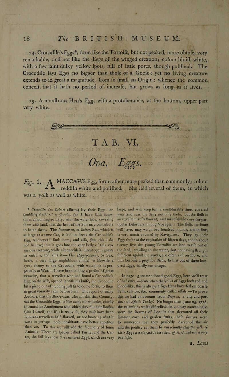 14. Crocodile’s Eggs*, form like the Tortoife, but not peaked, more obtufe, very remarkable, and not like the Eggs of the winged creation; colour bluifh white* with a few faint dufky yellow fpots, full of little pores, though polifhed. The Crocodile lays Eggs no bigger than thofe of a Goofe; yet no living creature extends to fo great a magnitude, from fo fmall an Origin; whence the common conceit, that it hath no period of increafe, but grows as long as it lives. 15. A monflrous Hen’s Egg, with a protuberance, at the bottom, upper part very white. TAB. VI. • , * f T , ' , I ' V* •' if ‘ ,.3« 'V * - • -x •« * -•* ' ' - ^ <■ ■ * A n *n \ t r •> ....... A w . » A ^1,1 » A ) w'. • J . k ... v . * ii-- • X v 0 Ova, Eggs. Fig. 1. A MACCAWS Egg, form rather more peaked than commonly; colour ± recldifli. white and polifhed. She laid feveral of them, in which was a yolk as well as white. * Crocodiles (as Calmet affirms) lay their Eggs, re- large, and will keep for a cunfiderable time, covered fembling thofe of tx Guofc, (as 1 have faiclj fome- with fand near the Sea; not only thefe, but the flefh is times amounting to fixty, near the water-fide, covering an excellent refrefhment, and an infallible cure for par- them with fand, that the heat of the Sun may contribute titular Diforders in long Voyages. The flefh, as fome to hatch them. The Ichneumen, or Indian Rat, which is will have, may weigh two hundred pounds, and in fine, as large as a tame Cat, is faid to break the Crocodile’s is very much coveted by Navigators. They lay their Egg, whenever it finds them ; and alfo, (but this Ido Eggs thrice at the expiration of fifteen days, and in about not believe) that it goes into the very belly of this vo- twenty five the young Tortoifes are feen to rife out of racious creature, while afleep with its throat open, gnawrs the fand, crawling to the water, but not having flrength its entrails, and kills it.— The Hippopotamus, or Sea. fufficient againft the waves, are often call on fhore, and horfe, a very large amphibious animal, is likewife a thus become a prey for Birds, fo that out of three hun- great enemy to the Crocodile, with which he is per- dred Eggs, hardly ten efcape. petually at War, — I have been told by a perfon of great veracity, that a traveller who had found a Crocodile’s In page 15 we mentioned good Eggs, here we‘11 treat Egg on the Nile, opened it with his knife, the Crocodile of bad ones;—Now when the yolks of Eggs look red and bit a piece out of it, being juft fit to come forth, to fliew blood-like, this is always a fign Hens have fed on coarfe its great voracity even before birth. The report of many flefh, carrion, &c. commonly called offals:—To prove Authors, that the Barbarians, who inhabit that Countryj tl]is we had an account from Smyrna, a city and port eat the Crocodile Eggs, is like many other ftories, chiefly town of AJiatic Turkey'. No longer than June 25, 1778, invented for Amufement with which they fill their Books, the calamities which diftreffed that country exceedingly, (this I detefl) and if it is really fo, they mufl have been were the fwarms of Locufls that devoured all their ignorant travellers half ftarved, or not knowing what it fummer corn and garden fruits; thefe fwarms were was; or perhaps thofe inhabitants have better appetites fo numerous that they perfectly darkened the air than we.—To this we will add the fecundity of fome and the poultry eat them fo voracioufly that the yolks of Animals: There are fpecies called Turtle, and the Car- their Eggs were turned to the colour of blood, mid had a very ret, the firfl lays near three hundred Eggs, which are very bad tofe. 2. Lapis