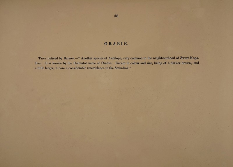 38 O RABIE. Thus noticed by Barrow.—“ Another species of Antelope, very common in the neighbourhood of Zwart Kops- Bay. It is known by the Hottentot name of Orabie. Except in colour and size, being of a darker brown, and a little larger, it bore a considerable resemblance to the Stein-bok.”