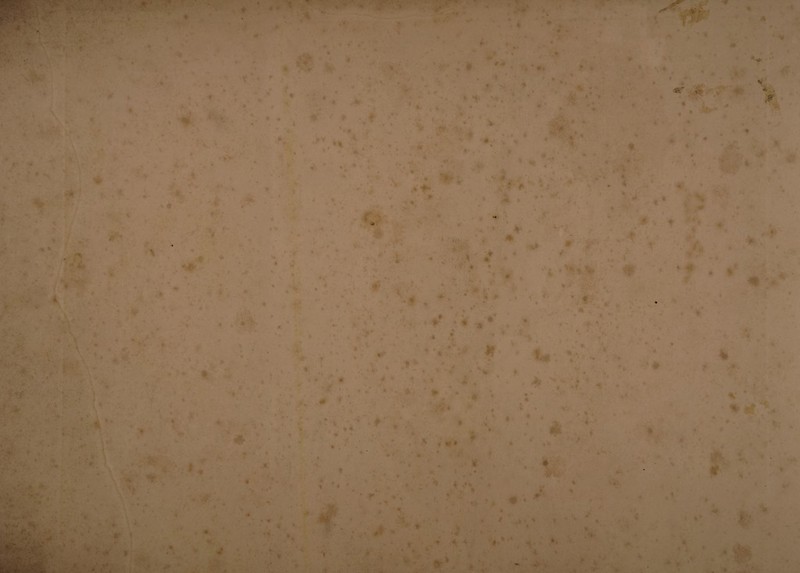 < *> . . V * £< i * < ' ' • *. '' . • *> ■• vr * ••*?, v - . • * ’ s- -« . i ft* •i t v N* *? .4 •ft