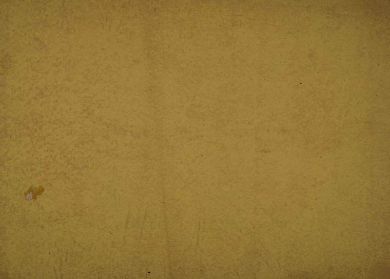 ■ ^ ■ ■ • «• •• / . '■<■.• * •* ' ■