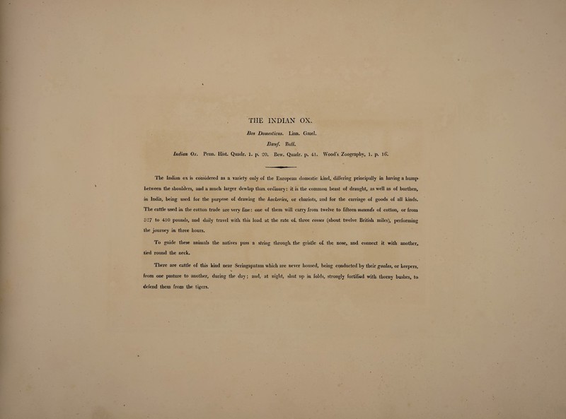 THE INDIAN OX. Bos Domesticus. Linn. Gmel. Been/. Buff. Indian Ox. Penn. Hist. Quadr. 1. p. 20. Bew. Quadr. p. 41. Woods Zoographv, 1. p. 1(T. The Indian ox is considered as a variety only of the European domestic kind, differing principally in having a hump between the shoulders, and a much larger dewlap than, ordinary: it is the common beast of draught, as well as of burthen, in India, being used for the purpose of drawing the hackeries, or chariots, and for the carriage of goods of all kinds. The cattle used in the cotton trade are very fine: one of them will carry from twelve to fifteen maunds of cotton, or from 327 to 410 pounds, and daily travel with this load at the rate oL three cosses (about twelve British miles), performing the journey in three hours. To guide these animals the natives pass a string through the gristle ol the nose, and connect it with another, tied round the neck. There are cattle of this kind near Seringapatam which are never housed, being conducted by their goalas, or keepers, from one pasture to another, during the day; and, at night, shut up in folds, strongly fortified with thorny bushes, to defend them from the tigers.