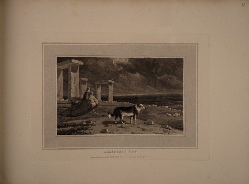 Dcsujned.i'iufr.ired, SaluHishU iy CUreland. Street.Jtbroy Square, Zartdm, ^SprHloaSog. . \