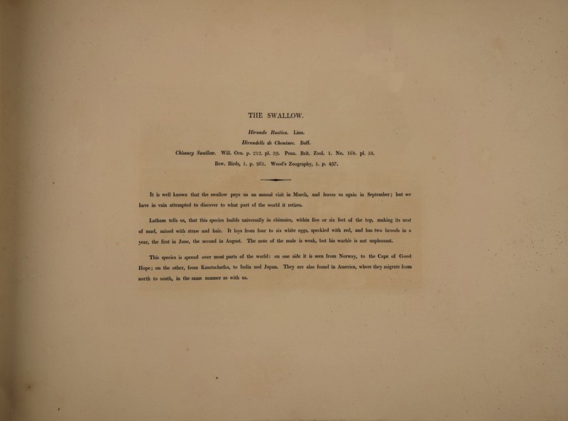 THE SWALLOW. Hirundo Rustica. Linn. Hirondelle de Cheminee. Buff. Chimney Swallow. Will. Orn. p. 212. pi. 39. Penn. Brit. Zool. 1, No. 108. pi. 58. Bew. Birds, 1. p. 261. Wood’s Zoography, 1. p. 497» It is well known that the swallow pays us an annual visit in March, and leaves us again in September; but we have in vain attempted to discover to what part of the world it retires. Latham tells us, that this species builds universally in chimuies, within five or six feet of the top, making its nest of mud, mixed with straw and hair. It lays from four to six white eggs, speckled with red, and has two broods in a year, the first in June, the second in August. The note of the male is weak, but his warble is not unpleasant. This species is spread over most parts of the world: on one side it is seen from Norway, to the Cape of Good Hope; on the other, from Kamtschatka, to India and Japan. They are also found in America, where they migrate from north to south, in the same manner as with us. .