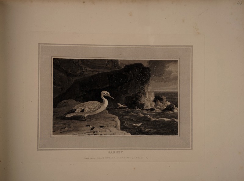 Deponed. Jin/iravcd «€• -Publurlbcd ty Wifim DarvUU Wc # , Cleveland Strut, Fitzroy Stjtuxrr. London. April lviSop t