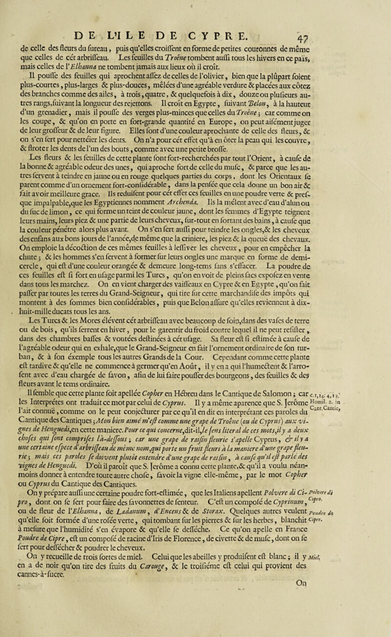 de celle des fleurs du fureau, puis qu’elles croiflent en forme de petites couronnes de même que celles de cét arbriffeau. Les feuilles du Troène tombent aufli tous les hivers en ce pais» mais celles de 1 ’Elhanna ne tombent jamais aux lieux oit il croît. Il pouffe des feuilles qui aprochent affez de celles de l'olivier, bien que la plupart foient plus-courtes, plus-larges & plus-douces, mêlées d’une agréable verdure & placées aux cotez des branches comme des ailes, à trois, quatre, & quelquefois à dix, douze ou plufieurs au¬ tres rangs,fuivant la longueur des rejettons. Il croît en Egypte, fuivant Belon, à la hauteur d’un grenadier, mais il pouffe des verges plus-minces que celles du Troène ; car comme on les coupe, & qu’on en porte en fort-grande quantité en Europe, on peutaifémentjuger de leur grofleur <Sc de leur figure. Elles font d’une couleur aprochante de celle des fleurs, <5c on s’en fert pour nettéier les dents. On n’a pour cét effet qu’à en ôter la peau qui les couvre, & flroter les dents de l’un des bouts, comme avec une petite brofle. Les fleurs & les feuilles de cette plante font fort-recherchées par tout l’Orient, àcaufede la bonne & agréable odeur des unes, qui aproche fort de celle du mufe, & parce que les au¬ tres fervent à teindre en jaune ou en rouge quelques parties du corps, dont les Orientaux le parent comme d’un ornement fort-confidérable, dans la penfée que cela donne un bon air & fait avoir meilleure grâce. Ils reduifent pour cét effet ces feuilles en une poudre verte & pref- que impalpable,que les Egyptiennes nomment Archenda. Ils la mêlent avec d’eau d’alun ou du fuc de limon, ce qui forme un teint de couleur jaune, dont les femmes d’Egypte teignent leurs mains, leurs piez & une partie de leurs cheveux, fur-tout en fortant des bains, à caufe que la couleur pénétre alors plus avant. On s’en fert aufli pour teindre les ongles,& les cheveux' des enfans aux bons jours de l’année,de même que la crinière, les piez & la queue des chevaux. On emploie la décodion de ces mêmes feuilles à leflîver les cheveux, pour en empêcher la chute ; & les hommes s’en fervent à former fur leurs ongles une marque en forme de demi- cercle , qui eft d’une couleur orangée & demeure long-tems fans s’effacer. La poudre de ces feuilles eft fi fort en ufage parmi les Turcs, qu’on en voit de pleins facs expofez en vente dans tous les marchez. On en vient charger des vaiffeaux en Cypre «St en Egypte , qu’on fait paffer par toutes les terres du Grand-Seigneur, qui tire fur cette marchandife des impôts qui montent à des fommes bien confidérables, puis que Belon aflure qu’elles reviennent à dix- huit-mille ducats tous les ans. Les Turcs & les Mores élévent cét arbriffeau avec beaucoup de foin,dans des vafes de terre ou de bois, qu’ils ferrent en hiver, pour le garentir du froid contre lequel il ne peut refifter, dans des chambres baffes «St voûtées deftinées à cét ufage. Sa fleur eft fi eftimée à caufe de l’agréable odeur qui en exhale,que le Grand-Seigneur en fait l’ornement ordinaire de fon tur¬ ban, & à fon éxemple tous les autres Grands de la Cour. Cependant comme cette plante eft tardive «St qu’elle ne commence à germer qu’en Août, ilyenaquil’humedent&l’arro- fent avec d’eau chargée de favon, afin de lui faire pouffer des bourgeons, des feuilles «St des fleurs avant le tems ordinaire. 11 femble que cette plante foit apellée Copher en Hébreu dans le Cantique de Salomon ; car c. i,i4. 4;ï les Interprètes ont traduit ce mot par celui de Cyprus. Il y a même aparence que S. Jerome Homil 2- l’ait connue, comme on le peut conjecturer parce qu’il en dit en interprétant ces paroles du c-nt;Cantlc* Cantique des Cantiques ^Mon bien aimé m'efl comme unegrape de Troêne {ou de Cyprus) aux vi¬ gnes de Henguedi,en cette maniéré. Pour ce qui c oneer ne,dit-il,fens Hier al de ces mot s,il y a deux chojcs qui font comprifes la-dejfous ; car une grap e de r afin fleurie s'apelle Cyprus, & il y a. une certaine efpece d'arbrifeau de même nom,qui porte un fruit fleuri a la maniéré d'une grapefleu¬ rie-, mais ces paroles fe doivent plutôt entendre d’une grape de rat Cm, u caufe qu'il efl parle des vignes de Henguedi. D’où il paroît que S. Jerome a connu cette plante,«St qu’il a, voulu néan¬ moins donner à entendre toute autre chofe, favoirla vigne elle-même, par le mot Copher ou Cyprus du Cantique des Cantiques. On y prépare aufli une certaine poudre fort-eftimée, que les Italiens apellent Polvere di Ci- polvere di pro, dont on fe fert pour faire des favonnettes de fenteur. C’eft un compofé de Cyprinum, CT°- ou de fleur de l'Elhanna, de Ladanum, à'Encens & de Storax. Quelques autres veulent Poudre & qu’elle foit formée d’une rofée verte, qui tombant fur les pierres <5c fur les herbes, blanchit c>Pe- à mefure que l’humidité s’en évapore «St qu’elle fe defféche. Ce qu’on apelle en France Poudre de Cipre, eft un compofé de racine d’iris de Florence, de civette «5c de mufe, dont on fe fert pour deflecher <3c poudrer le cheveux. On y recueille de trois fortes de miel. Celui que les abeilles y produifent eft blanc ; il y mUI. en a de noir qu’on tire des fruits du Carouge, & le troifiéme eft celui qui provient des cannes-à-fucre. On
