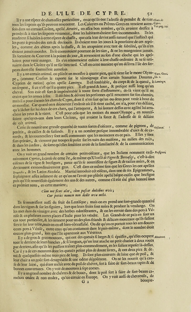 Il y a une efpece de chats allez particuliere, en ce qu’ils ont l’adrefle de prendre & de tiier chats ât tous les ferpents qu’ils peuvent rencontrer. Les Caloyers ou Prêtres Grecs en tenoient autre- 9/p^ fois dans un certain Cloître, apellé Acrotiri, un allez bon nombre, qu’ils avoient dreffez à U1 pag'2 * prendre & à tiier les ferpents venimeux, dont les habitants etoient fort-incommodez. Ils les rendirent fi habiles à cette efpece de chalfe, que cela leur devint aulïï naturel que l’inftind qui les porte à prendre des rats & des fouris. Ils etoient tous les jours à la pourfuitte de ces repti¬ les, comme des chiens après lachalTe, & les atrapoient avec tant de fubtilité, qu’ils n’en etoient jamais mordus. Ils fe contentoient pourtant de les tiier, & ne les mangeoient jamais. Ils lortoient du Couvent à la pointe du jour, & revenoient au fon d’une cloche qui les apel- loient pour venir manger. Ils s’en retournoient enfuite à leur chalfe ordinaire &nefereti- roient dans le Cloître qu’il ne fût bien tard. C’eft en cette maniéré qu on délivra 1 île des fer¬ pents dont elle fourmilloit autrefois. Il y a un certain animal, ou plûtôt un monftre à quatre piez, qui fe tient fur le mont Olym- Turc Grec, pe , (comme Crullus le raporte fur le témoignage d’un certain Stamatius Donatus,lib. 2. Cyprien de nation) qu’on apelle Lxmingx. Il elt femblable, du corps & de la queue, à Lammga. un ferpent, fi ce n’eft qu’il a quatre piez. Il eft grand & haut, & prefque aulfi long qu un cheval Son cuir elt fort & impénétrable à toute forte d’inftrument 5 de-là vient qu’il ne craint que les armes à feu. Il déchire & dévore les perfonnes qu’il rencontre fur fon chemin; mais il a pour énemis les chatsde Cypre, dont il n’en faut qu’un ou deux pout venir à bout de ce monftre. Car quand on a découvert l’endroit où il fe tient caché, on n’a, pour s’en défaire, qu’à lâcher fur lui deux de ces chats, qui l’attaquent, & lui fautant ddTusavec agilité lui arra¬ chent les yeux & le tüent. C’elt pour cela que les moines du mont Olympe , en nourrif*. foient quelques-uns dans leurs Cloîtres, qui avoient la force & l’adrefle de fe défaire de cét animal. . , Cette île nourrit une grande quantité de toutes fortes d’oifeaux , comme de pigeons , de oifeauxl perdrix, de cailles & de faifands. Il y a un nombre prefque innombrable d’oies & de ca¬ nards ; & les tourterelles y font aufll communes que les moineaux en ce pais. Elles y font fort-privées, & viennent par troupes fepofer fur les toits des maifons, au milieu des rues, & dans les jardins ; de forte qu’elles femblent avoir de la familiarité & de la communication avec les hommes. ,. _ . On y voit un grand nombre de certains petits oifeaux, que les Italiens nomment ordi- cefigua» nairement Cyprias, à caufe de cette île, de même qu'Uccelli âi Vignx & TSeccxfigi, c eft-à-dire oifeaux de la vigne & beefigues, parce qu’ils fe nourriifent de figues & de raifins murs, & en deviennent extraordinairement gras. C’eft dans ce meme fens que les Grecs les ont apellez , & les Latins FiceduU. Martial introduit cét oifeau, dans une de fes Epigrammes, fe plaignant affez joliment de ce qu’on ne l’avoit pas plutôt apelle beque-raifin que bec gue puis qu’il fe nourriffoit également des uns & des autres, comme s’il eût été plus honore fous ce prémier nom, en cette maniéré ; Cum me ficus xlat, cum pxfcxr dulcibus uvïs ; Cuy potius nomen non dédit uvx mïhi. Ils fenourrifîent auflî du fruit duLentifque; mais on en prend une fort-grande quantité dans les vignes & fur les figuiers, lors que leurs fruits font mûrs & pendant la vendange.^ On les met dans du vinaigre avec des herbes odoriférantes, & on les envoie dans des pots a Ve- nife & en plufieurs autres places d’Italie pour les vendre. Les Grands de ce pais en font un cas tout particulier, & les tiennent pour un des plus-friands & délicats morceaux qu ils fanent fervir fur leur table,mais on en eft bien-tôtraflafié. On dit qu’on en portoit tous les ans douze- cents pots à Vénife, outre ceux qu’on confumoit dans le païs-meme, dont le nombre etoit encore plus-grand, lors que l’île apartenoit aux Vénitiens. Il y a de gros & gras moutons, qui ont des queues fi larges & fi epaiflfes, qu elles ocupent Moutons^ tout le derrière de leurs hanches ; & fi longues, qu’on leur atache un petit chariot à deux roues par derrière, afin qu’ils les puiffent traîner plus-commodement, en les faifant repofer là-de lus. Car il y a de ces moutons dont les queues pefent plus de douze livres, & ont deux piez & de¬ mi & quelquefois même trois piez de long. Ils font plus-couverts de laine que de poil, & leur chair a un goût fort-desagréable & une odeur dégoûtante. On ne les nourrit qu fc de leur laine, qui étant mélée avec du poil de chèvre, fert a faire de fort-beaux tapits c ö bonnes couvertures. On y voit de moutons à fept cornes. ^ Il y a un grand nombre de chèvres & de boucs, dont le poil fert a faire de fort- eaux ca¬ melots ondez & non ondez, qu’on envoie en Europe. On y voit aufti de chevreuils, de G z bouque-