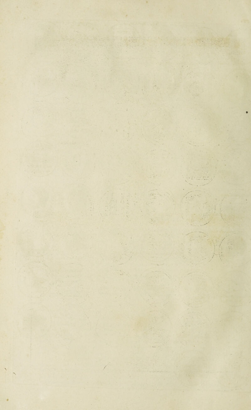 ' . I J ‘ , » f . . • •- - I . t . ■U1.- -S. : S ■ i': ‘ , ‘ V. ! /' \ h', / V-/. ,7 ; • •• 1 - / i r • ./-V- > I N. •\ /