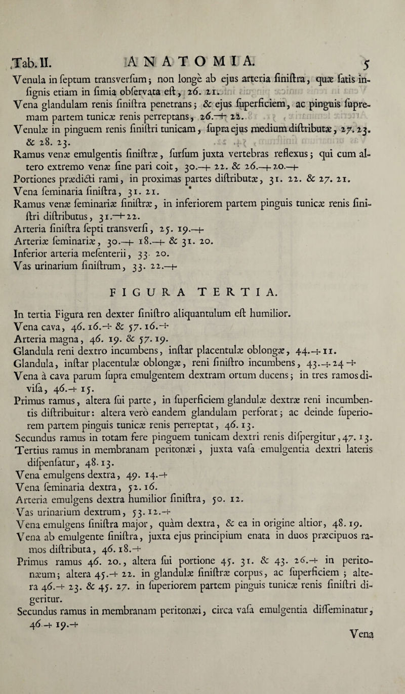 Venula infeptum transverfumj non longe ab ejus arteria finiftra, quae fatis in- lignis etiam in limia obfervata eft, 26. zi. Vena glandulam renis finiftra penetrans 5 Sc ejus luperficiem, ac pinguis fupre- mam partem tunicas renis perreptans, 2(5.—t- 22. Venulas in pinguem renis finiftri tunicam, fupraejus mediumdiftributas, 27.23. & 28. 23. Ramus venas emulgentis finiftras, furfum juxta vertebras reflexus; qui cum al¬ tero extremo venas line pari coit, 30.—+- 22. Sc 26.—t-20.-4- Portiones prasdi&i rami, in proximas partes diftributas, 31. 22. Sc 27. 21. Vena feminaria liniftra, 31. 21. Ramus venae feminarias ftniftras, in inferiorem partem pinguis tunicae renis fini¬ ftri diftributus, 31.-+ 2 2. Arteria finiftra fepti transverfi, 25. 19.—4 Arterias feminarias, 30.-4- 18.—f- Sc 31. 20. Inferior arteria melenterii, 33- 20. Vas urinarium finiftrum, 33. 22.-4- FIGURA TERTIA. In tertia Figura ren dexter finiftro aliquantulum eft humilior. Vena cava, 46.16.-f Sc 57.16.-*• Arteria magna, 46. 19. & 57.19. Glandula reni dextro incumbens, inftar placentulae oblongas, 44.-4-11. Glandula, inftar placentulae oblongae, reni finiftro incumbens, 43.-4-24-** Vena a cava parum fupra emulgentem dextram ortum ducens; in tres ramos di- vifa, 46.-t- 15. Primus ramus, altera lui parte, in fuperficiem glandulas dextras reni incumben¬ tis diftribuitur: altera vero eandem glandulam perforat 5 ac deinde luperio- rem partem pinguis tunicae renis perreptat, 46.13. Secundus ramus in totam fere pinguem tunicam dextri renis difpergitur,47.13. Tertius ramus in membranam peritonaei, juxta vala emulgentia dextri lateris dilpenlatur, 48.13. Vena emulgens dextra, 49. 14.-1- Vena feminaria dextra, 52.16. Arteria emulgens dextra humilior finiftra, 50. 12. Vas urinarium dextrum, 53.12.-t- Vena emulgens finiftra major, quam dextra, Sc ea in origine altior, 48.19. Vena ab emulgente finiftra, juxta ejus principium enata in duos prascipuos ra¬ mos diftributa, 46.18.-+ Primus ramus 46. 20., altera lui portione 45. 31. Sc 43. 26.-1- in perito- nasum; altera 45.-1- 22. in glandulas finiftras corpus, ac fuperficiem ; alte¬ ra 46.-1- 23. Sc 45. 27. in luperiorem partem pinguis tunicas renis finiftri di¬ geritur. Secundus ramus in membranam peritonasi, circa vala emulgentia dilfeminatur, 46—h 19.-4-