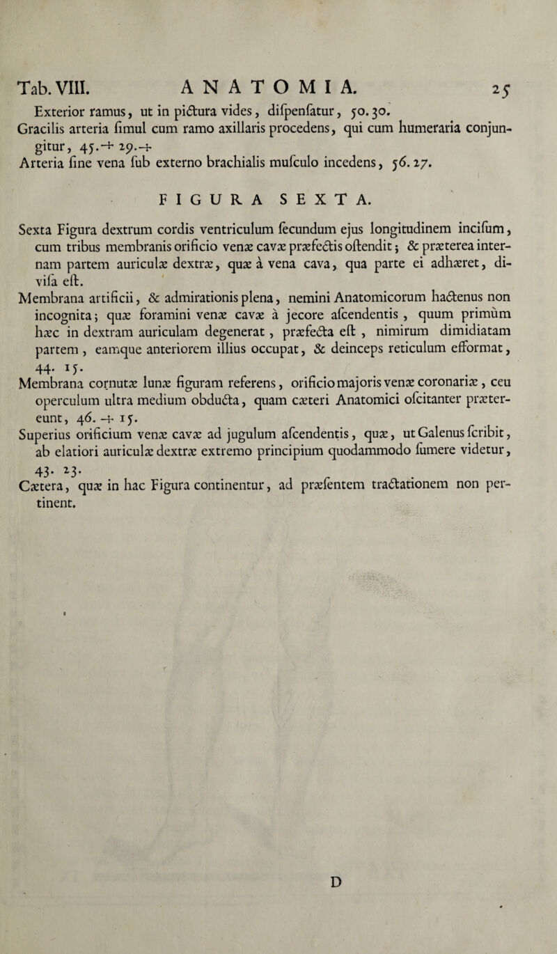 25 Exterior ramus, ut in pi&ura vides, difpenfatur, 50. 30. Gracilis arteria fimul cum ramo axillaris procedens, qui cum humeraria conjun¬ gitur, 45.+ 29. -+ Arteria fine vena fub externo brachialis mufculo incedens, 56.27. FIGURA SEXTA. Sexta Figura dextrum cordis ventriculum fecundum ejus longitudinem incifum, cum tribus membranis orificio venae cavae prxfe&is oftendit; & praeterea inter¬ nam partem auriculae dextrae, quae a vena cava, qua parte ei adhaeret, di- vila efi:. Membrana artificii, & admirationis plena, nemini Anatomicorum ha&enus non incognita; quae foramini venae cavae a jecore afcendentis , quum primum haec in dextram auriculam degenerat, prxfe&a efi: , nimirum dimidiatam partem , eamque anteriorem illius occupat, & deinceps reticulum efformat, 44. 15. Membrana cornutae Iunx figuram referens, orificio majoris venae coronariae, ceu operculum ultra medium obdu&a, quam exteri Anatomici ofeitanter prxter- eunt, 46. -+ 15. Superius orificium venx cavx ad jugulum afcendentis, qux, ut Galenus feribit, ab elatiori auriculxdextrx extremo principium quodammodo fumere videtur, 43- 23- Cxtera, qux in hac Figura continentur, ad prxientem tra&ationem non per¬ tinent. r D