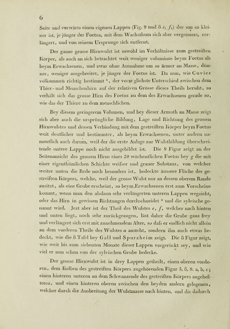 Seite und vorwärts einen eigenen Lappen (Fig. 9 und 8 e, f,) der um so klei¬ ner ist, je junger der Foetus, mit dem Wachsthum sich aber vergrössert, ver¬ längert, und von seinem Ursprünge sich entfernt. Der ganze grosse Hirnwulst ist sowohl im Verhältnisse zum gestreiften Körper, als auch an sich betrachtet weit weniger vohuninos beym Foetus als beym Erwachsenen, und zwar ohne Ausnahme um so ärmer an Masse, dün¬ ner, weniger ausgebreitet, je jünger der Foetus ist. Da nun, wie Cu vier volkommen richtig bestimmt1, der vorzüglichste Unterschied zwischen dem Thier-und Menschenhirn auf der relativen Grösse dieses Theils beruht, so verhält sich das grosse Hirn des Foetus zu dem des Erwachsenen gerade so, wie das der Thiere zu dem menschlichen. / Bey diesem geringerem Volumen, und bey dieser Armuth an Masse zeigt sich aber auch die ursprüngliche Bildung, Lage und Bichtung des grossen Hirnwulstes und dessen Verbindung mit dem gestreiften Körper beym Foetus weit deutlicher und bestimmter, als beym Erwachsenen, unter andern na- mentlich auch darum, weil der die erste Anlage zur Wulstbildung überschrei¬ tende untere Lappe noch nicht ausgebildet ist. Die 9 Figur zeigt an der Seitenansicht des grossen Hirns eines 20 wöchentlichen Foetus bey g die mit einer eigenthümlichen Schichte weifser und grauer Substanz, von welcher weiter unten die Rede noch besonders ist, bedeckte äussere Fläche des ge¬ streiften Körpers, welche, weil der grosse Wulst nur an dessen oberem Rande ansitzt, als eine Grube erscheint, so beym Erwachsenen erst zum Vorscheine kommt, wenn man den alsdann sehr verlängerten unteren Lappen wegzieht, oder das Hirn in gewissen Richtungen durchschneidet a und die sylvisclie ge¬ nannt wird. Jezt aber ist der Theil des Wulstes e, f, welcher nach hinten und unten liegt, noch sehr zurückgezogen, läst daher die Grube ganz frev und verlängert sich erst mit zunehmendem Alter, so dafs er endlich nicht allein an dem vorderen Theile des Wulstes a ansteht, sondern ihn auch etwas be¬ deckt, wie die 8 Tafel bey Gail und Spurzheim zeigt. Die 8 Figur zeigt, wie weit bis zum siebenten Monate dieser Lappen vorgerückt sey, und wie viel er nun schon von der sylvischen Grube bedecke. Der grosse Hirnwulst ist in drey Lappen getheilt, einen oberen vorde¬ ren, dem Kolben des gestreiften Körpers zugehörenden Figur 5, 8, 9. a, b, c; einen hinteren unteren an dem Schwanzende des gestreiften Körpers angehef¬ teten, und einen hinteren oberen zwischen den bey den andern gelegenen, welcher durch die Ausbreitung der Wulstmasse nach hinten, und die dadurch