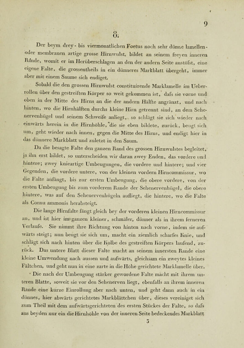Der beym drey- bis viermonatlichen Foetus noch sehr dünne lamellen- oder membranen artige grosse Hirnwulst, bildet an seinem frejen inneren Rande, womit er im Herüberschlagen an den der andern Seite anstöfst, eine eigene Falte, die grossentheils in ein dünneres Markblatt übergeht, immer aber mit einem Saume sich endiget. Sobald die den grossen Hirn wulst constituirende Marklamelle im Ueber- iollen über den gestreiften Körper so weit gekommen ist, dafs sie vorne und oben in der Mitte des Hirns an die der andern Hälfte angränzt, und nach hinten, wo die Hirnhälften durchs kleine Hirn getrennt sind, an dem Sehe¬ nervenhügel und seinem Schweife anliegt, . so schlägt sie sich wieder nach einwärts herein in die Hirnhöhle, die sie eben bildete, zurück, beugt sich um, geht wieder nach innen, gegen die Mitte des Hirns, und endigt hier in das dünnere Markblatt und zuletzt in den Saum. Da die besagte Falte den ganzen Piand des grossen Hirnwulstes begleitet, ja ihn erst bildet, so unterscheiden wir daran zwey Enden, das vordere und hintere; zwey knieartige Umbeugungen, die vordere und hintere; und vier Gegenden, die vordere untere, von der kleinen vordem Hirncommissur, wo die Falte anfängt, bis zur ersten Umbeugung, die obere vordere, von der ersten Umbeugung bis zum vorderem Rande der Sehenervenhügel, die obere hintere, was auf den Sehenervenhügeln aufliegt, die hintere, wo die Falte als Cornu ammonis herabsteigt. Die lange Hirnfalte fängt gleich bey der vorderen kleinen Flirncommissur an, und ist hier innganzen kleiner, schmäler, dünner als in ihrem ferneren Verlaufe. Sie nimmt ihre Pachtung von hinten nach vorne, indem sie auf¬ wärts steigt; nun beugt sie sich um, macht ein ziemlich scharfes Knie, und t schlägt sich nach hinten über die Kolbe des gestreiften Körpers laufend, zu¬ rück. Das untere Blatt dieser Falte macht an seinem innersten Rande eine kleine Umwendung nach aussen und aufwärts, gleichsam ein zweytes kleines Fältelten, und geht nun in eine zarte in die Höhe gerichtete Marklamelle über. * Die nach der Umbeugung stärker gewordene Falte macht mit ihrem un¬ teren Blatte, soweit sie vor den Sehenerven liegt, ebenfalls an ihrem inneren Rande eine kurze Einrollung aber nach unten, und geht dann auch in ein dünnes, hier abwärts gerichtetes Markblättchen über, dieses vereiniget sich zum Theil mit dem aufwärtsgerichteten des ersten Stückes der Falte, so dafs aus beyden nur ein die Hirnhöhle von der inneren Seite bedeckendes Markblatt