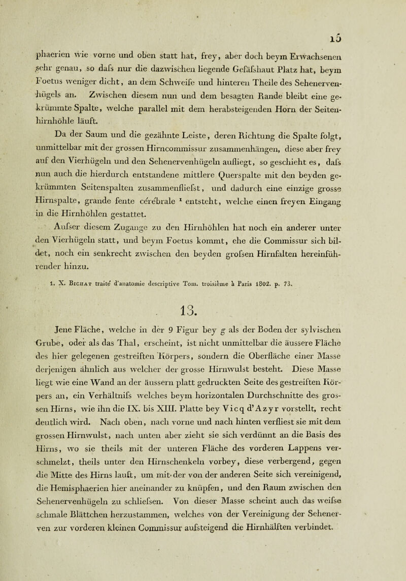 xo phaerien wie vorne und oben statt hat, freyr, aber doch beym Erwachsenen sehr genau, so dafs nur die dazwischen liegende Gefäfshaut Platz hat, beym I oetus weniger dicht, an dem Schweife und hinteren Theile des Sehenerven¬ hügels an. Zwischen diesem nun und dem besagten R.ande bleibt eine ge¬ krümmte Spalte, welche parallel mit dem herabsteigenden Horn der Seiten¬ hirnhöhle läuft. Da der Saum und die gezähnte Leiste, deren Richtung die Sj>alte folgt, unmittelbar mit der grossen Hirncommissur Zusammenhängen, diese aber frey auf den Vierhügeln und den Sehenervenhügeln aufliegt, so geschieht es, dafs nun auch die hierdurch entstandene mittlere Querspalte mit den beyden ge¬ krümmten Seitenspalten zusammenfliefst, und dadurch eine einzige grosse Hirnspalte, grande fente cerebrale 1 entsteht, welche einen freyen Eingang in die Hirnhöhlen gestattet. Aufser diesem Zugänge zu den Hirnhöhlen hat noch ein anderer unter den Vierhügeln statt, und beym Foetus kommt, ehe die Commissur sich bil¬ det, noch ein senkrecht zwischen den beyden grofsen Hirnfalten hereinfüh¬ render hinzu. 1. X, Biciiat traite d’anatomie descriptive Tom. troisieme a Paris 1802. p. 73. Jene Fläche, welche in der 9 Figur bey g als der Boden der sylvischen Grube, oder als das Thal, erscheint, ist nicht unmittelbar die äussere Fläche des hier gelegenen gestreiften Körpers, sondern die Oberfläche einer Masse derjenigen ähnlich aus welcher der grosse Hirnwulst besteht. Diese Masse liegt wie eine Wand an der äussern platt gedruckten Seite des gestreiften Kör¬ pers an, ein Verhältnifs welches beym horizontalen Durchschnitte des gros¬ sen Hirns, wie ihn die IX. bis XIII. Platte bey Vicqd’Azyr vorstellt, recht deutlich wird. Nach oben, nach vorne und nach hinten verfliest sie mit dem grossen Hirnwulst, nach unten aber zieht sie sich verdünnt an die Basis des Hirns, wo sie theils mit der unteren Fläche des vorderen Lappens ver¬ schmelzt, theils unter den Hirnschenkeln vorbey, diese verbergend, gegen die Mitte des Hirns lauft, um mit*der von der anderen Seite sich vereinigend, die Hemisphaerien hier aneinander zu knüpfen, und den Raum zwischen den Sehenervenhügeln zu schliefsen. Von dieser Masse scheint auch das weifse schmale Blättchen herzustammen, welches von der Vereinigung der Sehener¬ ven zur vorderen kleinen Commissur aufsteigend die Hirnhälften verbindet.