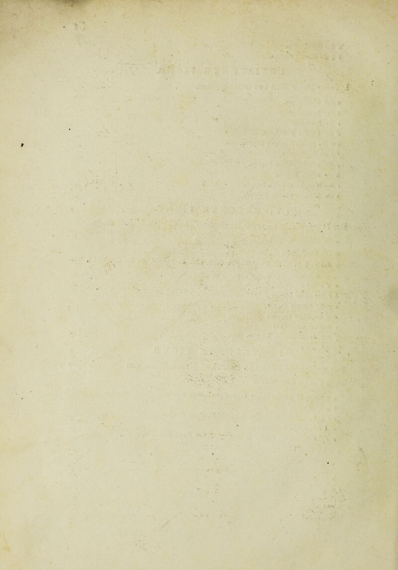 'S > * * / > t f * r «- ln I % t 5 /