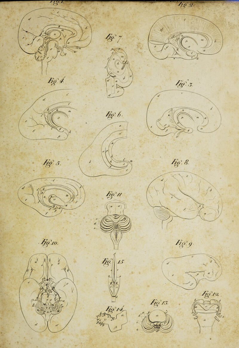 /Zf:'# C^> yjo\ 8. y. o / -' ■ Ilo. W-9 JJ 077- O Ha/3. C7. /zo]j$L cy