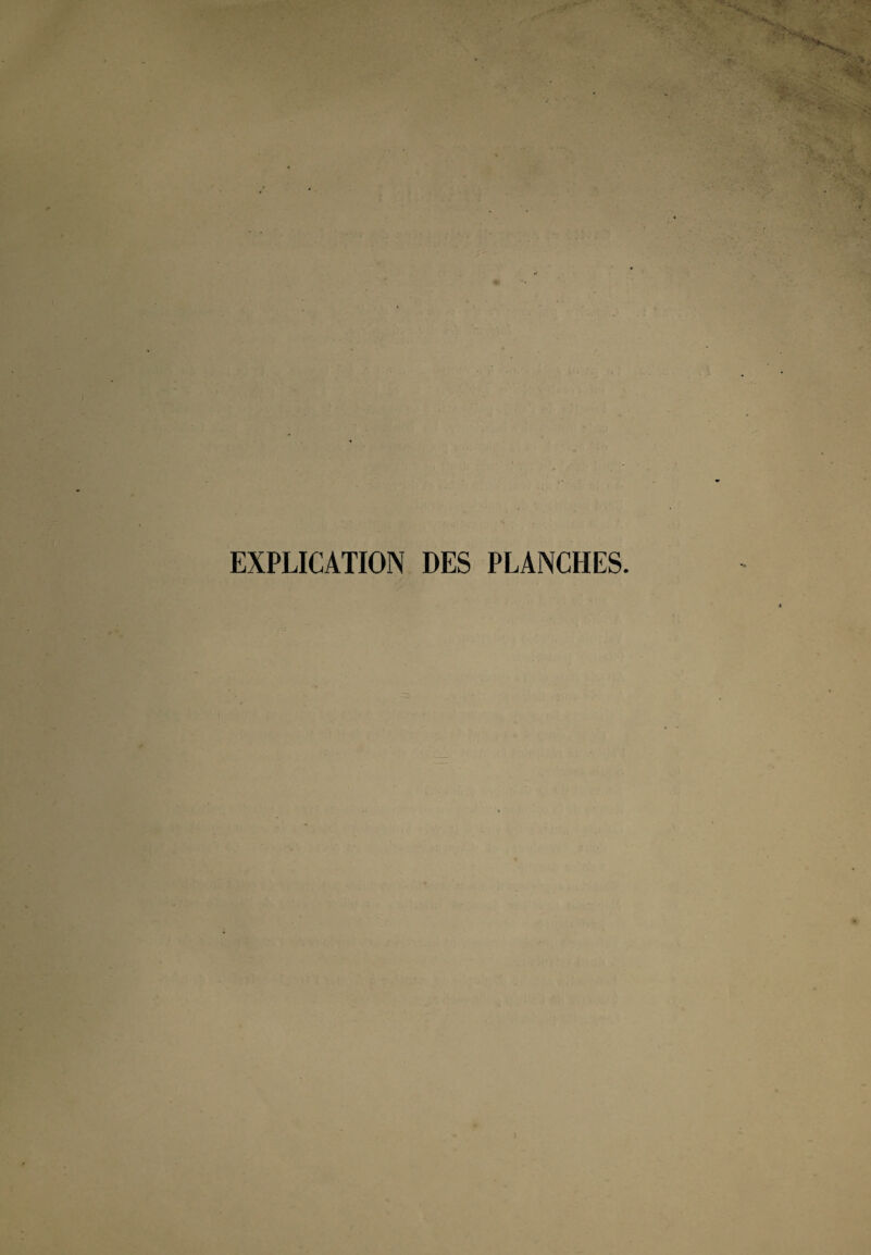 EXPLICATION DES PLANCHES.