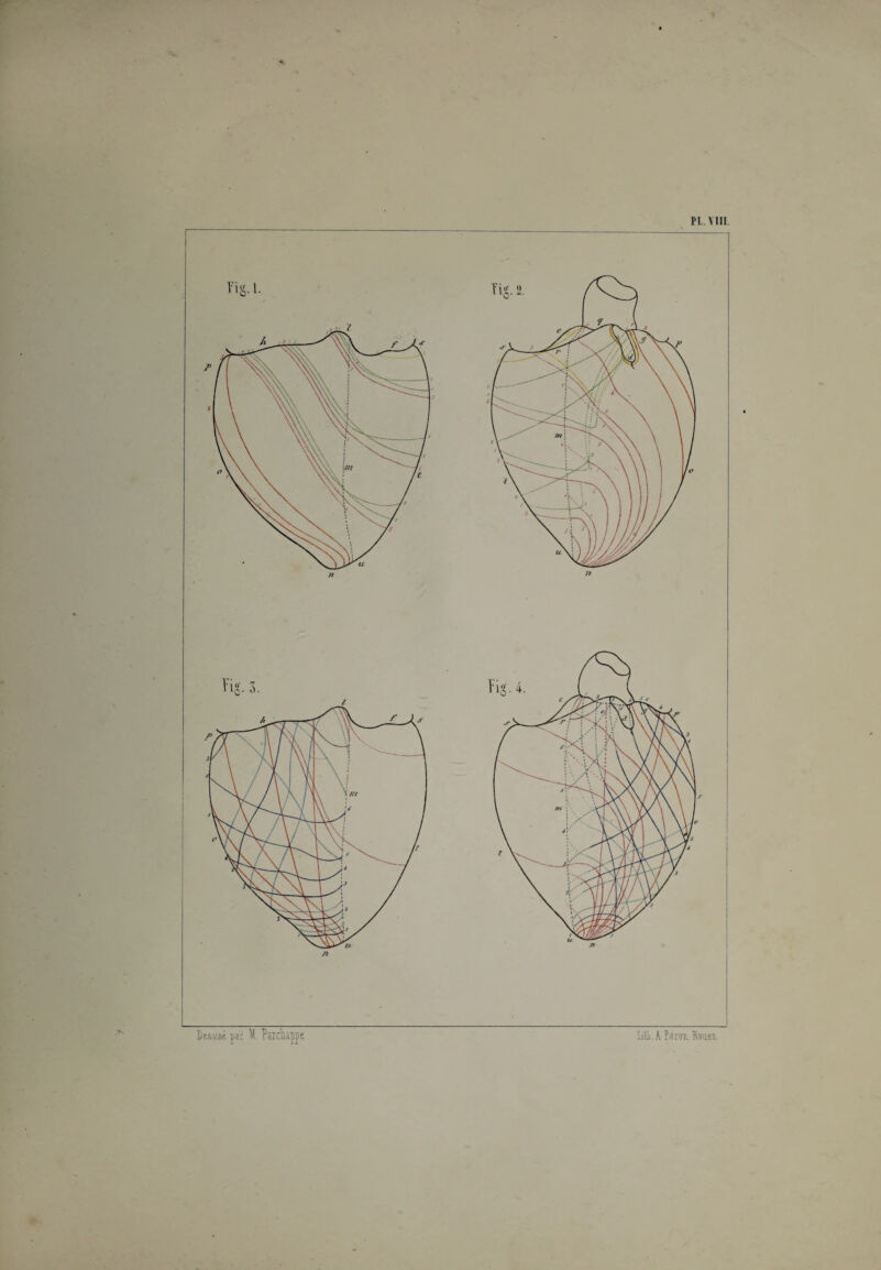 PL. VIII. Dessiné jai K. ?ïtchipp& lift. A Pérou. Souen.