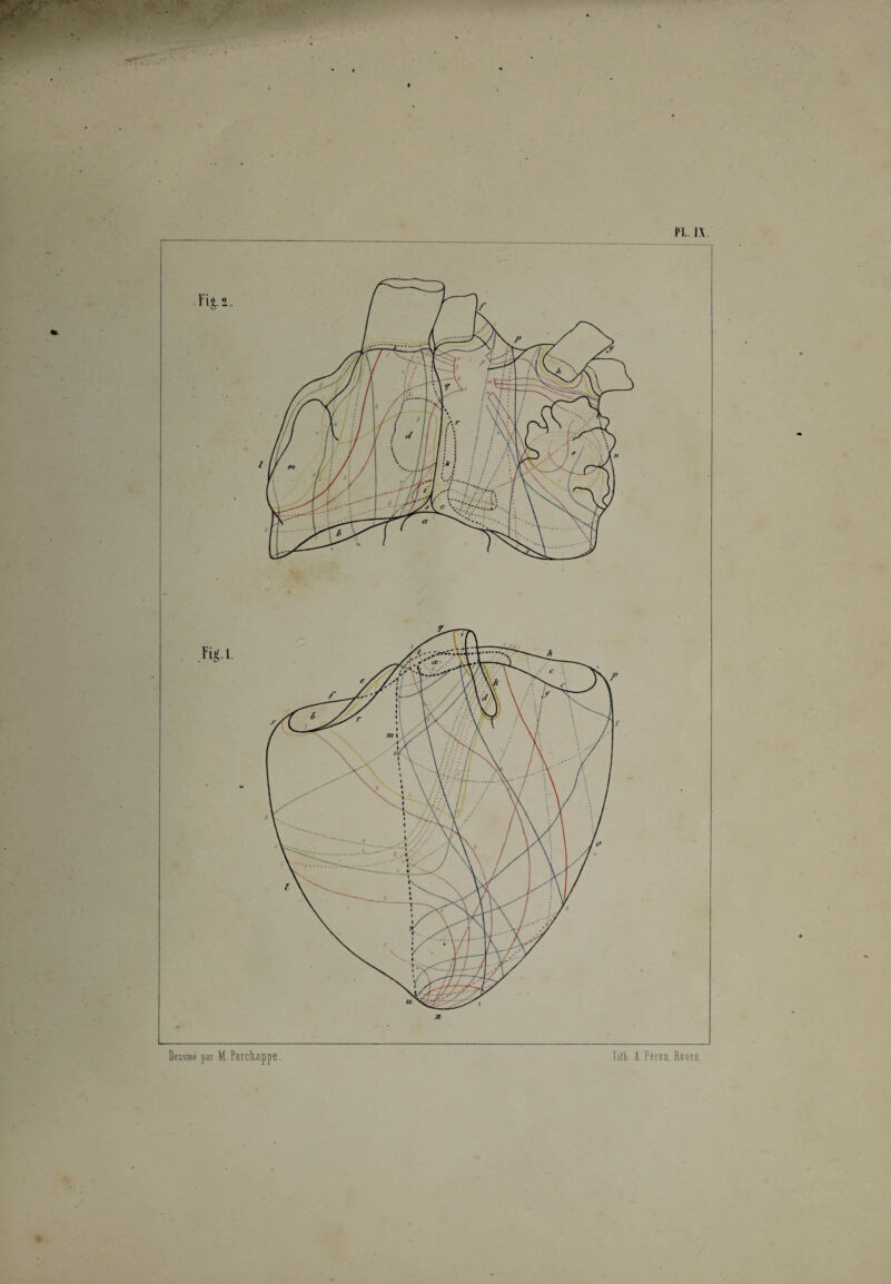 PL. IX. l is - Figl. Dessiné par M îarclurppe Ixlli A. Pérou. Rouen