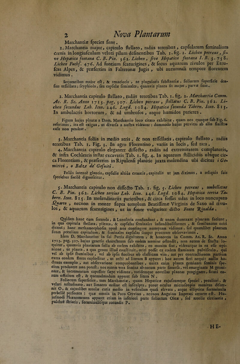 Marchantia: fpecies fant. 1. Marchantia major, capitulo ftellato, radiis teretibus, capfularum feminalium Crenis in longiufculum veluti pilum delinentibus Tab. i.fig. i- Lichen petraus, fi- ve Hepatica fontana C. B. Pin. 3 62. Lichen , Jtve Hepatica fontana 1. B. 3.758. Lichen Fuchf. 476. Ad fontium Icaturigines , & fecus aquarum rivulos per Etru- fcas Alpes, Sc praefertim in Falteronas Jugis , ubi autumnali tempore florentem vidimus. Sequentibus major effc, & tenacioris , ac pinguioris fubftantix, foliorum fuperficic den- fius teifeilata; fcyphiola, fcu capfulx feminales, quamvis planta fit major, parvx funt. 2. Marchantia capitulo ftellato, radiis teretibus Tab. 1. fig. 2. Marchantia Comm. Ac. R. Sc. Anno 1713. pag. 307. Lichen petraus , ftellatus C. B. Pin. 3 62. Li¬ chen fecundus Lob. Icon. 246. Lugd. 1084. Hepatica fecunda Tabem. Icon. 815. In ambulacris hortorum, & ad umbrofos , atque humidos parietes . Figura hujus plantae a Dom. Marchantio loco citato exhibita:, quam nos quoque fub Fig. 6. referimus , ita eft exigua , ut diyerfa a noftra videatur : dummodo hujus parvitas ab alio finiftr® cafu non pendeat. 3. Marchantia foliis in medio atris , & non teflellatis , capitulo ftellato , radiis teretibus Tab. 1. Fig. 3. In agro Florentino, variis in locis, fed rara. 4. Marchantia capitulo eleganter difle&o, radiis ad extremitatem complanatis, & infra Cochlearis inftar excavatis Tab. 1. fig. 4. In aquarum ftillicidiis ubique cir¬ ca Florentiam ,& pratfertim in Ripulenfi planitie juxta molendina ubi dicitur i Ge- mitivi , 0 Balze de5 Gefuiti. Foliis intense glaucis, capfulis altius crenatis, capitulis ut jam diximus, a reliquis fuis fpeciebus facile dignofcitur. 5. Marchantia capitulo non difle&o Tab. 1. fig. 5. Lichen petr&us , umbellatus C. B. Pin. 362. Lichen tertius Lob. Icon. 246. Lugd. 1084. Hepatica tertia Ta¬ bem. Icon. 81 In molendinariis parietibus ,& circa foflas udas in loco nuncupato Quarto , necnon in monte fupra templum Beatiflima: Virginis de Saxo ad rivu¬ los , Sc aquarum fcaturigines , ut in fonte vulgariter difto Ponte Rinalda . Quidam hanc cum fecunda, & Lunularia confundunt , Sc unam dumtaxat plantam faciunt, in qua capitula ftellata, pileata, & capfulas feminales infundibuliformes , & femilunatas oriri dicunt; hanc methamorphofin apud nos contingere numquam vidimus , fed quamlibet plantam fuum peculiare capitulum, & feminales capfulas fempcr procreare obfervavimus . Idem D. Marchantius in fui Patris dignitatem , & honorem in Comm. Ac. R. Sc. Anno 1715. pag. 307. hujus generis charaderem fub eodem nomine oftendit, non autem de frudu lo¬ quitur, quamvis plantarum folia ab eodem exhibita, eo munita fint, videturque in ea efife opi¬ nione , ut planta, a qua genus illud conftituit, oriri poflit ex eodem flaminum pulvifculo, qui vel ab ipfis flaminibus , vel ab ipfis floribus ob elafticam vim, aut per contradionem partium extra eosdem flores exploditur , ut rede ad literam B apparet 3 hoc autem fieri nequit nullo ha- denus exemplo , aut obfervatione comprobantibus , unica enim planta geminam feminis fpe- ciem producere non poteft; nos autem vera femina ab eorum parte finuofa, vel emarginata M germi¬ nare, Sc incrementum capeflere fatpe vidimus , totidemque novellas plantas progignere, ficuti eo¬ rum officium eft , & quemadmodum apparet fub litera N . Foliorum fuperficies, tam Marchantia:, quam Hepaticx cujufcumque fpeciei , peculiari, Sc veluti teftudinato, aut limaceo ordine eft infculpta, prout oculus microfcopio munitus difcer- nit O, & cujuslibet areola: cutis medio in veficulam quafi elevata , atque elliptico foraminulo perbelle perforata ; qux omnia in Poro Cervino , necnon Anguino Imperati cernere eft. Hu- jufmodi Phaenomenon apparet etiam in inferiori parte foliorum Oles , fed areolis circinatis , pulchre ftriatis , foraminulifque rotundis P.