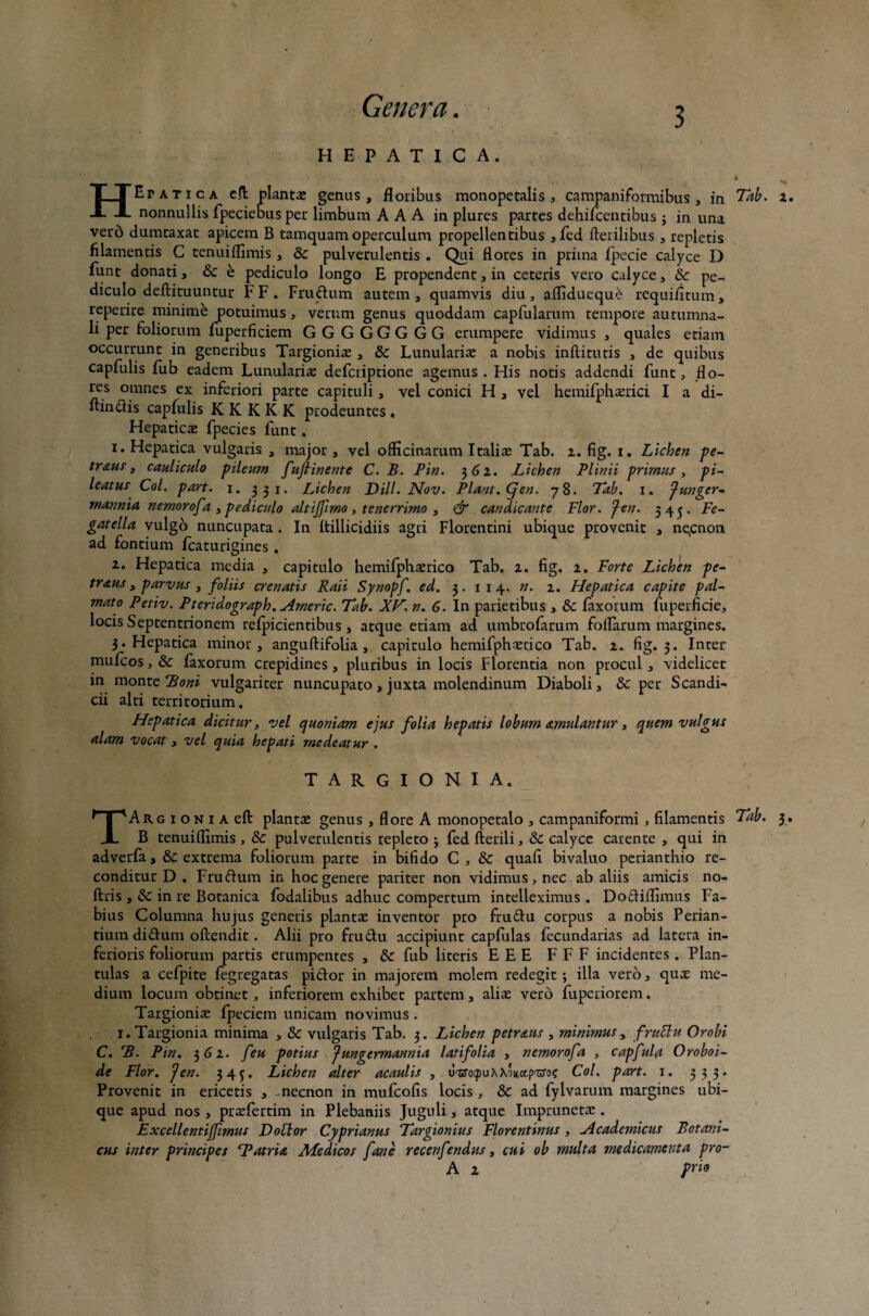 HEPATICA. H ' • * Epatica cft plantas genus, floribus monopetalis, campaniformibus, in Tab. z nonnullis fpeciebus per limbum A A A in plures partes dehifcentibus j in una vero dumtaxat apicem B tamquam operculum propellentibus , fed fterilibus , repletis filamentis C tenuiflimis , & pulverulentis . Qui flores in prima fpecie calyce D funt donati, & e pediculo longo E propendent, in ceteris vero calyce, & pe¬ diculo deftituuntur FF. Frudum autem, quamvis diu, affidueque requifltum, reperire minime potuimus, verum genus quoddam capfularum tempore autumna¬ li per foliorum fuperficiem GGGGGGGG erumpere vidimus , quales etiam occurrunt in generibus Targionire , & Lunularite a nobis inftitutis , de quibus capfulis fub eadem Lunularis defctiptione agemus . His notis addendi funt, flo¬ res omnes ex inferiori parte capituli, vel conici H , vel hemifphsrici I a di- flindis capfulis KK KKK prodeuntes . Hepaticae fpecies funt. i. Hepatica vulgaris , major, vel officinarum Italiae Tab. z. fig. i. Lichen pe- tr&ui, cauliculo pileum fuflinente C. B. Pin. 3 61. Lichen Plinii primus , pi¬ leatus Coi. part. 1. 331. Lichen Hili. Nov. Piant. Cjen. 78. Tab. 1. Jungcr- rnannia nernorofa , pediculo altijfmo, tenerrimo , & candicante Flor. ftn. 345. Fe- gatella vulgo nuncupata . In ftillicidiis agri Florentini ubique provenit , ne,cnon ad fontium fcaturigines. 1. Hepatica media , capitulo hemifphaerico Tab. z. fig. z. Forte Lichen pe- traus y parvus , foliis crenatis Raii Synopf. ed. 3. 1 1 4. n. z. Hepatica capite pal¬ mato Petiv. Pteridograph. Arneric. Tab. XV~. n. 6. In parietibus , Sc faxorum fuperficie, locis Septentrionem relpicientibus, atque etiam ad umbrofarum foliarum margines. 3. Hepatica minor, anguftifolia, capitulo hemifphaerico Tab. z. fig. 3. Inter mufcos,& faxorum crepidines, pluribus in locis Florentia non procul, videlicet in monte Boni vulgariter nuncupato, juxta molendinum Diaboli, Sc per Scandi- cii alti territorium. Hepatica dicitur, vel quoniam ejus folia hepatis lobum amulantur, quem vulgus alam vocat, vel quia hepati medeatur . T A R G I O N I A. TARGioNiAeft plantae genus , flore A monopetalo , campaniformi, filamentis Tab. 3 B tenuiflimis , & pulverulentis repleto ; fed fterili, & calyce carente , qui in adverfa, & extrema foliorum parte in bifido C , & quafi bivaluo perianthio re¬ conditur D . Frudum in hoc genere pariter non vidimus, nec ab aliis amicis no- ftris, in re Botanica fodalibus adhuc compertum intelleximus. Dodiflimus Fa¬ bius Columna hujus generis planta: inventor pro frudu corpus a nobis Perian- tium didum offendit. Alii pro frudu accipiunt caplulas fecundarias ad latera in¬ ferioris foliorum partis erumpentes , & fub literis E E E F F F incidentes . Plan- tulas a cefpite fegregatas pidor in majorem molem redegit; illa vero, quae me¬ dium locum obtinet, inferiorem exhibet partem, alis vero fuperiorem. Targionis fpeciem unicam novimus . i.Targionia minima , & vulgaris Tab. 3. Lichen petraus , minimus, fruElu Orobi C. B. Pin. 3 61. feu potius Jungtrmannta latifolia , nernorofa , capfula Oroboi- de Flor. fen. 345. Lichen alter acaulis , u-tzopuXAWpitfo? Coi. part. 1. 333- Provenit in ericetis , -necnon in mufeofis locis , & ad fylvarum margines ubi¬ que apud nos , prsfertim in Plebaniis Juguli, atque Imprunets. Excellentijfimus DoCtor Cyprianus Targionius Florentinus , Hcadcmicus Botani- cus inter principes B atria Afedicos fane recenfendtts, cui ob multa medicamenta pro- A z frio