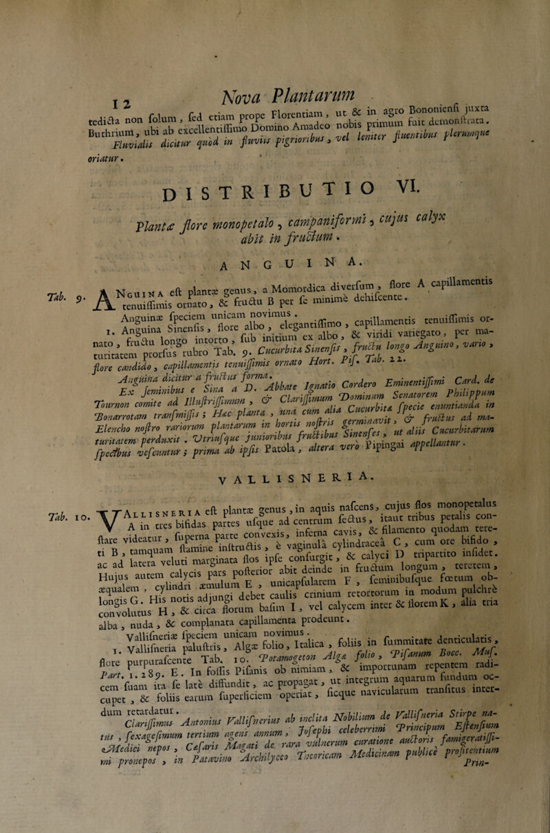 y Nova Plantarum ttdifla non folum, fed etiam prope Florentiam, ut & in ^gto oriatur. DISTRIBUTIO VI. plauta flore monopetalo, campaniformi, cujus «&* abit in fructum. anguina. , A N n „, t, a eft plantat genus. a Momordica divetfum . flote A capillamentis Tai. 9. orLo, & ftuau B pet fe minime dchtfcente. Anguinae fpeciem , capillamentis tenuiflimis or- i. Anguina Sinenfis , i.oie * s o o_ • • 1: vivie^ato per ma- l[T Anguino, vario , *** Emim„tijf,mi Card.de Ett Jemmbusf CUj.Jm„ Dominam Senatorem Ph,lippum Tournon comite ad IlluJtnJJmum , u JJ rururbita fpecie enuntianda ut Honarmam tranfmiffis ; Hac planta,«na cum d a CmMrhu Jfg- ^ ^ Elencho noftro rariorum plantarum in m \menfes ut aliis Cucurbitarum t unitatem-perduxit . appellantur. fpcctbus vefemtur; prima ab tpfis Patola , altera v V o rt VALLISNERIA. ^/ TTAmsNEiuA eft planta: genus,in aquis nafcens, cujus flos monopetalus Jab. io. partes ufque ad centrum feflus, «aut tribus petalis con¬ fli LTtur fuperna parte convexis, inferna cavis, & filamento quodam tere- ftaie videatur , lupei1 Pvaginula cylindracea C , cum ore bifido , ti B , tamquam flamine mltiut » o ' j ci j) tripartito infidet. ac ad latera ve*“ 'plrio^te ^ in finium longL . teretem Hu’Tp„rtt«lindri imulum E , unicapfnlatem F, fcminibufque fatum ob- a.quale , y ^ qcbcc caulis crinium retortorum in modum pulchlc l°on„SvolumsHH: “df^ X£ bafnn I, vel calycem inter & florem K , alia tna alba , nuda , & complanata capillamenta prodeunt. ' ferX fot?lrakca . foliis in fummitate denticulatis flete P“P“f“nrcj Jjfe, XcJ/TiZn \ importunim tepentem radi- T?f:i fol£ earut^foperficiem ^af/fmque navtcudm tranfitus intet- ^ S^Z'Antonius Fallifncrius * %£*$%* «££ TJ” auClol famireratlf- £ £^7 Ttmrkm Medicinam publice ft»/_ t