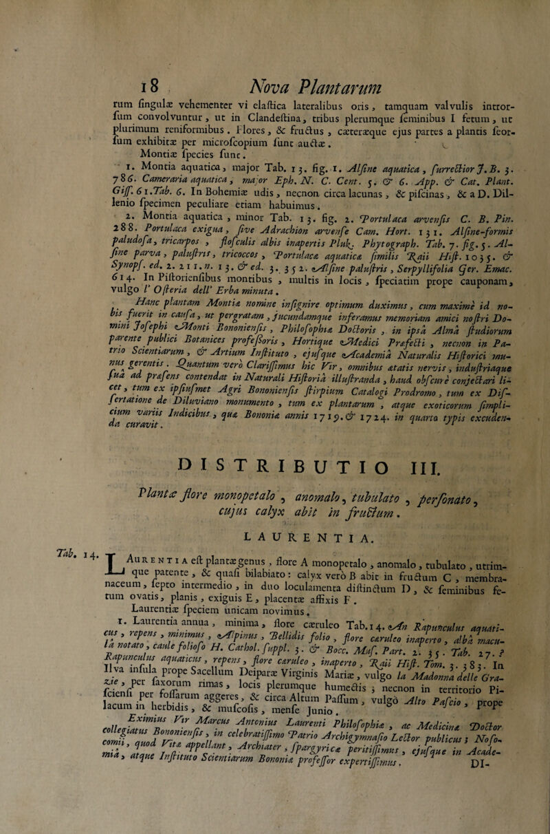 Tab. x fum convolvuntur, ut in Clandeftina, tribus plerumque feminibus I fetum, ut plurimum reniformibus, flores, & frudus , caetersque ejus partes a plantis feor- fum exhibita: per microfcopium funt auds . ^ 1. Montia aquatica, major Tab. 13. fig. 1. Aljine aquatica, furretliorJ.B. 3. 786. Cameraria aquatica, rnaor Eph. N. C. Cent. 5. & 6. App. & Cat. Piant. Gijf. 6 i.Tab. G. In Bohemis udis, necnon circa lacunas , & pifeinas , &aD. Dil- lenio fpecimen peculiare etiam habuimus. 2. Montia aquatica , minor Tab. 13. fig. 2. ‘portulaca arvenfis C. B. Pin. 288. Portulaca exigua, Jive Adrachion arvenfe Cam. Hort. 131. Alfine-formis paludofa, tricarpos , flofculis albis inapertis Plifi. Phytograph. Tab. 7. fig. 5. Al- fine parva, paluflns, tricoccos , Portulaca aquatica fimilis fiaii Hifi. 1035. & Synopf. ed. 2. 2.1 i.n. 13. & ed. 3. 352. <^Alfine palujlris , Serpyllifolia (fier. Emac. 614. In Piltorienfibus montibus , inultis in locis, fpeciatim prope cauponam, vulgo V Ojleria deW Erba minuta . Hanc plantam Montia nomine infignire optimum duximus, cum maxime id no¬ bis fuerit w caufa, ut pergratam, jucundamque inferamus memoriam amici noftri Do¬ mna jofephi CMonti Bononienfis , Philofophia Do tiaris , in ipsa Alma ft udiorum parente publici Botamces profefioris , Hortique vAledici Prsfetli , necnon in Pa¬ trio Scientiarum, & Artium Infiituto , ejufque zAcademid Naturalis Hiftorici mu- nus^ gerentis. Quantum vero Clarifiimus hic Vir, omnibus atatis nervis, induftriaque }ua ad prajens contendat in Naturali Hifioria illufiranda , haud obfcure conjeci ari li¬ cet , tum ex ipfiuf met Agri Bononienfis Jlirpium Catalogi Prodromo, tum ex Dif- Jcrtatione de Diluviano monumento , tum ex plantarum , atque exoticorum fimpli- cJum varus Indicibus , qua Bononia annis 17 19.& 1724. in quarta typis excuden- distributio III. Viantz fore monopetalo , anomale, tubulato , perfomto, cujus calyx abit in fruffum. LAURENTIA. T Auit e n t i a eft planta: genus , flore A monopetalo , anomalo . tubulato . utrim- J—i que patente, 8c quafi bilabiato: calyx vero B abit in frudum C , membra¬ naceum , fepto intermedio , in duo loculamenta diftindum D, & feminibus fe¬ tum ovatis, planis, exiguis E, placents affixis F. Laurentia: fpeciem unicam novimus, amUla5 Timai CXm[c° Tab-i4.«^ Rapunculus aquati¬ cus , repens , minimus , ^fimus , Bellidis folio , flore candeo inaperto, alba macu- ianotato caule fohofo H. Cathol. fuppl. 3. & Bocc. Muf. Pan. 2. 35 .Tab. 27. ? ^ lPdncilN paucus, repens, flore caruleo , inaperto, fiaii Hifi. Tom. 2. 28’. In per faxorum rimas? h1umedisV■ ^necL^Tritdo^pt cMefZTZZl t1™’ i»»' PhilofophU , ac Medici« VOlor tmli ILdTT fi‘nm ^rcblgymnafie LeOor publica; Ncfi. comn. q,wd Vitt appellam, Archmer , fpargyriu pemijjimn, , cSane in Ac.de. ‘ Afa»» Sammurn Bononia pnfefor expertijfmtu. ^ DI-