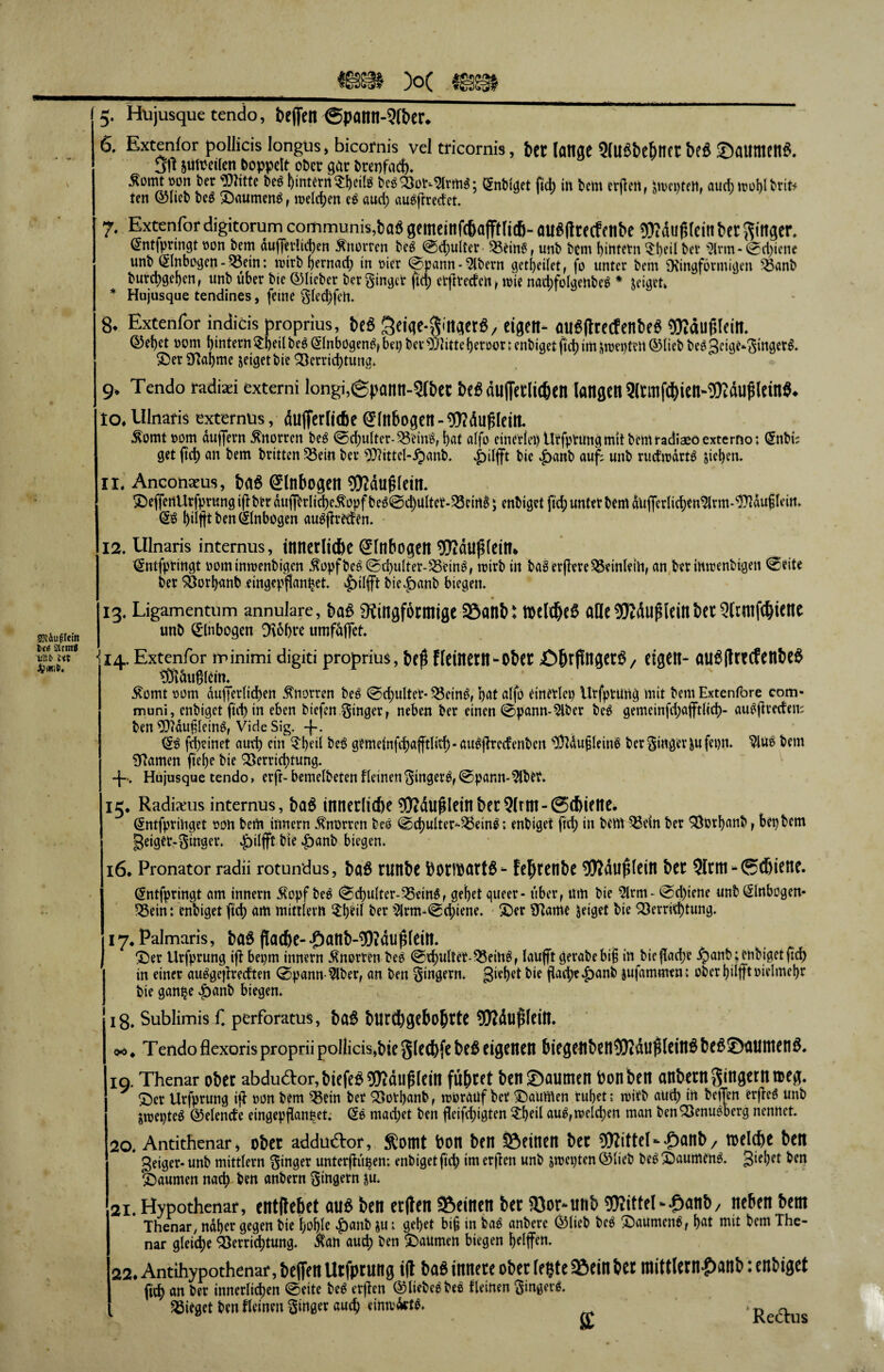 Wäujileiti t eß 2lrm« tittb cct Jftltib. __ fÜSif X ignigt 5. Hüjusque tendo, beflfen ®pann-9fber. 6. Extenfor pollicis longüs, bicomis vel tricornis, bet lange 9(Ußbeljncr bcö ©aumenS. 3ft suftcilcn doppelt oöcc gar &rcr)f<id>. Ämnt wn bet Witte bcg bintern ?I)eite bee 2}ut^rmä; gnbiget fid) in bcm crfieti, Junten, «udj «oi)l btit. ten ©heb beg ©aurneng, melden ee aud) au8ftredet. 7. Extenfor digitorum communis,ba« gemeinfcbafftticf)- aufifttecff nbc Wäufjlein bet Ringer, ©ntfpringt »on bem duj]erhd)en Knorren be£ @d)ulter- Vein6, unb bcm f)jntctn 5l)eil bet 5lrm- @d)iene unb ©Inbogen - Vein: wirb hernach in rner Spann-5lbern getbeilet, fo unter bem SKingformigen Vanb burchgeben, unb über bie ©lieber ber ginger ftcb ettfrecfeh, wie nad)folgettbe$ * leiget» * Hujusque tendines, feine gled)feh. 8. Extenlbr indicis proprius, beß täeiqe-gittgerö, eigen- auSIUedenbeß Wäufileitt. ©ebet 00m hintern £beil beg ©Inbogeng, bei) bet Glitte beroor ♦ enbiget ftcb im uwnfttt ©lieb beg 3dgta-3tttgtt& ® er 3^abme jeiget bie Verrichtung. 9» Tendo radiad extern! longi,<Spann-5lbet btß äufferlitötn langen 9(tmfd)ien-WäU(ilein5. to. Ulnafis extemus, dujferlidje Slnboqen-WAufilein. $omt rom duffem Knorren beg Schulter-Veing, bat alfo einerlei) Urfprung mit bennadiaeoexterno; ©nbi; get ftd) an bem britten Vetn ber Wittel-ipanb. £>ilfft bie £>anb auf; unb rucfroartg sieben. 11. Anconaeus, &a6 Slnbogeit Wduglem. iDejfertUrfprungiflbrr duflfCrlid)eÄüpfbeschultet-VeirtB 5 enbigetftcbunterbemdujferlicbcn^lrm-Wduflein. ©g hilft ben ©htbogen augftmfm. 12. Ulnaris internus, innerliche Slttbogett Wdlljilein. ©ntfpringt oominrcenbigen $opf beg Schulter-Veing, mirb in bagerflereVeinlei’H, an ber imrenbigen ©eite ber Vorbanb eingepflanijet. Jpilfft bie^anb biegen. 13. Ligamentum annulare, t>a$ ^Ringförmige 33anb: tt>eld&c6 alle 5!3Z(Su^lein t>er Qfrmfc^ieite unb ©Inbogen TObre umfdfTct ■ 14. Extenfor minimi digiti proprius, &e$ fleinern-obet £>5rf!ngecö/ eigen- Ml6|trecfenJ>e$ tÖtöugletn. $omt oom duferltthen Knorren beg ©rf>ultet- Vetng, butalfö einerlei) Urfprung mit bemExtenfore com- muni, enbiget ftcb in eben btefen ginger, neben ber einen Spann-2iber beg gemeinfdjafftlid)- augfrecfen; ben Wdufleing, Vide Sig. +. ©3 fheinet auvb ein $beil beö gom etnfcf?afftl ict) - attgflrecfenbcn Wdufleing ber ginger sufepn. $iug bem tarnen ftebe bie Verrichtung. -f~. Hujusque tendo, erft- bemelbeten fleinen gingerg, Spann-2lbt?» 15. Radixus internus, ba£ innerliche ^Oidußletnber 3(rm- ©ntfprihget oon bem innern Knorren beg Schulter* Veing; enbiget fid; in bem Vein ber Vorbanb, bet) bem geigcr-ginger. |)ilfft bte |)anb biegen. 16. Pronator radü rotundus, ba6 rtinbe börtbörtö- fe^rctibc ?)tdu^(ein ber 5lrm-®djiene. ©ntfpringt am innern Äopf be£ Schulter-Vein^, gebet queer- über, um bie 5lrm- Schiene unb ©Inbogen- Veint enbiget ftcb am mittierh 5:b‘ed t>er 5lrm-0d)iene. 2)er Ütame Jeiget bie Verrichtung. 17* Palmaris, ba$ flache-‘Oanb-TOdu^leitt. X)er Urfprung ifl bepm innern inerten beö ©rfjultet-^Sein^ f laufft gerabebif in bie flache Xpanb; enbiget ftch in einer auögejlredten (Spann-^Iber, an ben gingern. giehet bie flache|)anb sufammen; ober hilft oielmebr bie gan^e ^>anb biegen. 18. Sublimis f, perforatus, ba§ butchgebo(jtte 50?dußlein. 00 * Tendo flexoris proprii pollicis,bie Slechfe be^ eigenen biegenben3Kdu$lein6 be6©aumen IQ. Thenar ober abduaor,biefe«ÜRdußIein führet ben ©Mimen bonben anberngingerntteg. ©er Urfprung ifl oon bem Vein ber Votbanb, morauf ber ©aumen ruhet: mirb auch in bcifen erfleh unb jtoepteg ©elende eingepflanpet. ©8 madjet ben jleifchigten $beil au^,welchen man ben Venueberg nennet. 20. Antithenar* ober addudor, fomt bon ben deinen ber Wittel-£Mib/ toelchc ben geiger- unb mittlern ginger unterfftitjen; enbiget ftch im erjlen unb smet)ten©lieb be^ ©aumm^. Riebet ben ©aumen nach ben anbern gingern ju. 21. Hypothenar, ctttflcbet auß beit crften Sßcincn bet «öor-unb Wittel - 4>anb / neben bem Thenar, ndber gegen bie boblr £)anb ju i gebet big in tag anbere ©lieb bee ©aumen$, bM mit bem The¬ nar gleite Verrichtung. &an auch ben ©aumen biegen hoffen. 22. Antihypothenar, beffen Utfptuttg i(t bas innere ober legte 3Öein bet mittlern£anb: enbiget ftch an ber innerlichen (Seite beS erften ©liebeebes fleinen gingen. Vieget ben fleinen ginger auch eimrikn. R (5tu