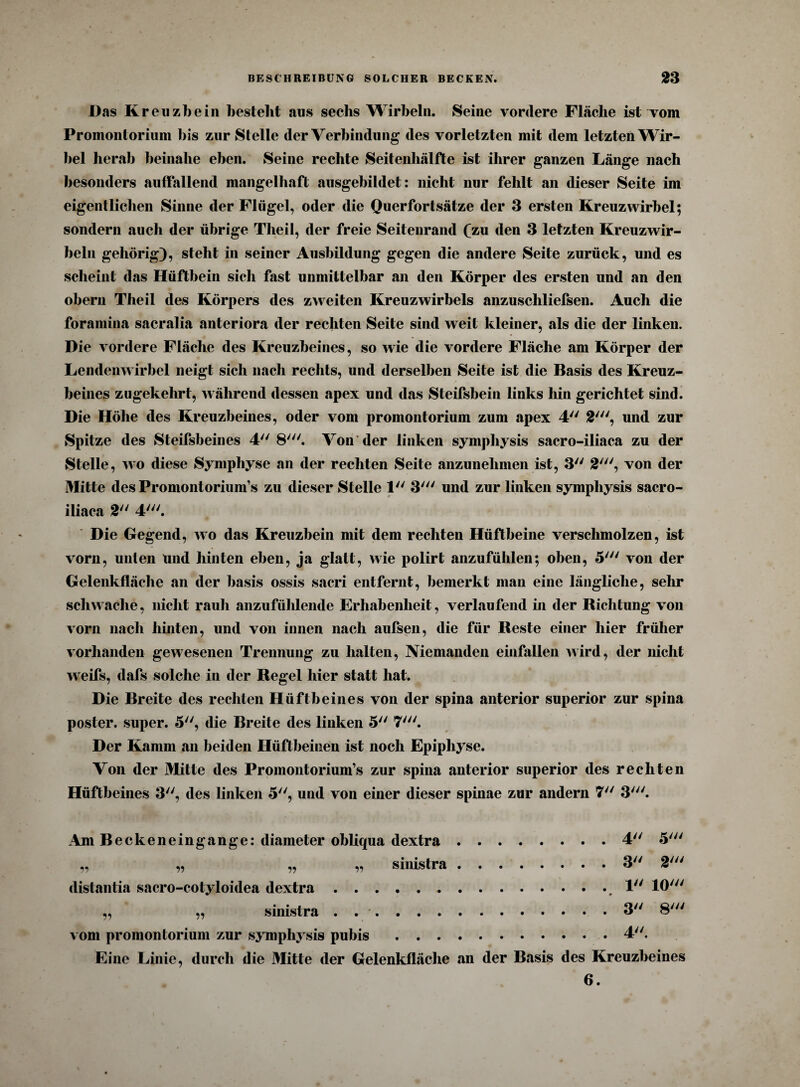 Das Kreuzbein besteht aus sechs Wirbeln. Seine vordere Fläche ist vom Promont orium bis zur Stelle der Verbindung des vorletzten mit dem letzten Wir¬ bel herab beinahe eben. Seine rechte Seitenhälfte ist ihrer ganzen Länge nach besonders auffallend mangelhaft ausgebildet: nicht nur fehlt an dieser Seite im eigentlichen Sinne der Flügel, oder die Ouerfortsätze der 3 ersten Kreuzwirbel; sondern auch der übrige Theil, der freie Seitenrand (zu den 3 letzten Kreuzwir¬ beln gehörig), steht in seiner Ausbildung gegen die andere Seite zurück, und es scheint das Hüftbein sich fast unmittelbar an den Körper des ersten und an den obern Theil des Körpers des zweiten Kreuzwirbels anzuschliefsen. Auch die foramina sacralia anteriora der rechten Seite sind weit kleiner, als die der linken. Die vordere Fläche des Kreuzbeines, so wie die vordere Fläche am Körper der Lendenwirbel neigt sich nach rechts, und derselben Seite ist die Basis des Kreuz¬ beines zugekehrt, während dessen apex und das Steifsbein links hin gerichtet sind. Die Höhe des Kreuzbeines, oder vom promontorium zum apex 4 2', und zur Spitze des Steifsbeines 4 8'. Von der linken symphysis sacro-iliaca zu der Stelle, wo diese Symphyse an der rechten Seite anzunehmen ist, 3 2', von der Mitte des Promontorium’s zu dieser Stelle 1 3' und zur linken symphysis sacro- iliaca 2 4'. Die Gegend, wo das Kreuzbein mit dem rechten Hüftbeine verschmolzen, ist vorn, unten und hinten eben, ja glatt, wie polirt anzufühlen; oben, 5' von der Gelenkfläche an der basis ossis sacri entfernt, bemerkt man eine längliche, sehr schwache, nicht rauh anzufühlende Erhabenheit, verlaufend in der Richtung von vorn nach hinten, und von innen nach aufsen, die für Reste einer hier früher vorhanden gewesenen Trennung zu halten, Niemanden einfallen wird, der nicht weifs, dafs solche in der Regel hier statt hat. Die Breite des rechten Hüftbeines von der spina anterior superior zur spina poster. super. 5, die Breite des linken 5 7y//. Der Kamm an beiden Hüftbeinen ist noch Epiphyse. Von der Mitte des Promontorium’s zur spina anterior superior des rechten Hüftbeines 3, des linken 5, und von einer dieser spinae zur andern 7 3'. Am Beckeneingange: diameter obliqua dextra.4 5' „ „ „ „ sinistra.3 2' distantia sacro-cotyloidea dextra.1 IO' ,, „ sinistra . .3 8' vom promontorium zur symphysis pubis.4. Eine Linie, durch die Mitte der Gelenkfläche an der Basis des Kreuzbeines 6.