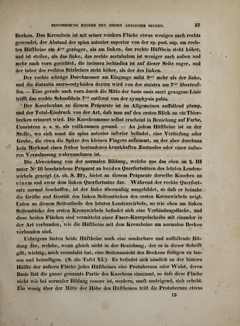 Becken. Das Kreuzbein ist mit seiner vordem Fläche etwas weniges nach rechts gewendet, der Abstand der spina anterior superior von der sp. post. sup. am rech¬ ten Hüftbeine um 4' geringer, als am linken, das rechte Hüftbein steht höher, und ist steiler, als das linke, das rechte acetabulum ist weniger nach aufsen und mehr nach vorn gerichtet, die incisura iscliiadica ist auf dieser Seite enger, und der tuber des rechten Sitzbeines steht höher, als der des linken. _ _> Der rechte schräge Durchmesser am Eingänge mifst 9' mehr als der linke, und die distantia sacro-cotyloidea dexlra wird von der sinistra um 7' übertrof¬ fen. — Eine gerade nach vorn durch die Mitte der basis ossis sacri gezogene Linie trifft das rechte Schoofsbein 7' entfernt von der symphysis pubis. Der Knochenbau an diesem Präparate ist im Allgemeinen auffallend plump, und der Total-Eindruck von der Art, dafs man auf den ersten Blick an ein Thier¬ becken erinnert wird. Die Knochenmasse selbst erscheint in Beziehung auf Farbe, Consistenz u. s. w. als vollkommen gesund. — An jedem Hüftbeine ist an der Stelle, wo sich sonst die spina anterior inferior befindet, eine Vertiefung oder Grube, die etwa die Spitze des kleinen Fingers aufnimmt, an der aber durchaus kein Merkmal eines früher bestandenen krankhaften Zustandes oder einer äufse- ren Veranlassung wahrzunehmen ist. Die Abweichung von der normalen Bildung, welche uns das oben im §. III unter N° 10 beschriebene Präparat an beiden Querfortsätzen des letzten Lenden¬ wirbels gezeigt (s. ob. S. 29}, bietet an diesem Präparate derselbe Knochen an einem und zwar dem linken Querfortsatze dar. Während der rechte Querfort¬ salz normal beschaffen, ist der linke übermäfsig ausgebildet, so dafs er beinahe die Gröfse und Gestalt des linken Seitenstückes des ersten Kreuzwirbels zeigt. Unten an diesem Seitentheile des letzten Lendenwirbels, so wie oben am linken Seitenstücke des ersten Kreuzwirbels befindet sich eine Verbindungsfläche, und diese beiden Flächen sind vermittelst einer Faser-Knorpelsclieibe mit einander in der Art verbunden, wie die Hüftbeine mit dem Kreuzbeine am normalen Becken • * verbunden sind. Uebrigens bieten beide Hüftbeine noch eine sonderbare und auffallende Bil¬ dung dar, welche, wenn gleich nicht in der Beziehung, der es in dieser Schrift gilt, wichtig, mich veranlaßt hat, eine Seitenansicht des Beckens fertigen zu las¬ sen und beizufügen. (_S. die Tafel XI.) Es befindet sich nämlich an der hintern Hälfte der äufsern Fläche jedes Hüftbeines eine Protuberanz oder Wulst, deren Basis fast die ganze genannte Partie des Knochens einnimmt, so dafs diese Fläche nicht wie bei normaler Bildung concav ist, sondern, sanft ansteigend, sich erhebt. Ein wenig über der Mitte der Höhe des Hüftbeines tritt die Proluberanz etwas 15