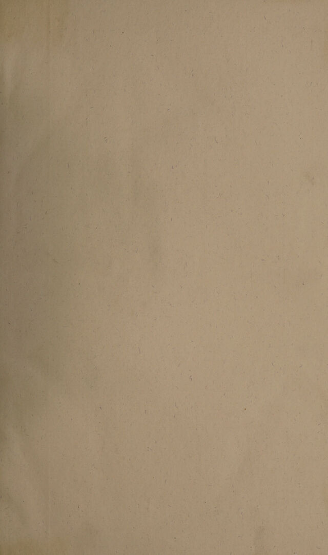 digitised image 3