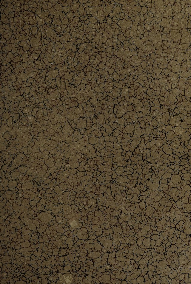 digitised image 3