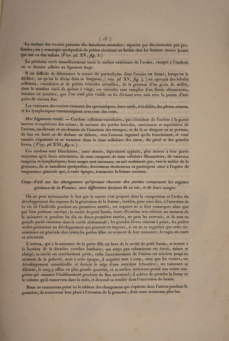 ( ,5 ) La surface des ovaires présente des bosselures arrondies, séparées par des sinuosités peu pro¬ fondes ; on y remarque quelquefois de petites cicatrices ou brides chez les femmes encore jeunes qui ont eu des enfans. (Voy. pl. XV, Jig. 3.) Le péritoine revêt immédiatement toute la surface extérieure de l’ovaire, excepté à l’endroit où ce dernier adhère au ligament large. Il est difficile de déterminer la nature du parenchyme dont l’ovaire est formé ; lorsqu’on le déchire, ou qu’on le divise dans sa longueur, ( voy. pl. XV, Jig. 4* ) on aperçoit des lobules celluleux, vasculaires et de petites vésicules arrondies, de la grosseur d’un grain de millet, dans le nombre varié de quinze à vingt; ces vésicules sont remplies d’un fluide albumineux, incolore ou jaunâtre, que l’on rend plus visible en les divisant avec soin avec la pointe d’une paire de ciseaux fins. Les vaisseaux des ovaires viennent des spermatiques; leurs nerfs, très-déliés, des plexus rénaux, et les lymphatiques communiquent avec ceux des reins. Des Ligamens ronds. — Cordons celluloso-vasculaires, qui s’étendent de l’utérus à la partie interne et supérieure des cuisses; ils naissent des parties latérales, antérieures et supérieures de 1 utérus, au-devant et au-dessous de l’insertion des trompes, et de là se dirigent en se portant, de bas en haut et de dedans en dehors, vers l’anneau inguinal qu’ils franchissent, et vont ensuite s’épanouir et se terminer dans le tissu cellulaire des aines, du pénil et des grandes lèvres. ( Voy. pl. XVI ffg. i. ) Ces cordons sont blanchâtres, assez denses, légèrement aj)platis, plus minces à leur partie moyenne qu’à leurs extrémités; ils sont composés de tissu cellulaire filamenteux, de vaisseaux sanguins et lymphatiques; leurs usages sont inconnus; on sait seulement que, vers le milieu de la grossesse, ils se tuméfient quelquefois, deviennent douloureux et participent ainsi à l’espèce de turgescence générale qui, à cette époque, tourmente la femme enceinte. Coup-d’œil sur les changemens qu’éprouve chacune des parties composant les organes génitaux de la Femme, aux différentes époques de sa vie, et de leurs usages. On ne peut méconnaître le but que la nature s’est proposé dans la composition et l’ordre du développement des organes de la génération de la femme; inutiles, pour ainsi dire, à l’entretien de la vie de l’individu pendant ses premières années, ces organes ne se font remarquer alors que par leur petitesse extrême; la cavité du petit bassin, étant elle-même très-rétrécie au moment de la naissance et pendant les dix ou douze premières années, ne peut les recevoir, et ils sont en grande partie contenus dans la cavité abdominale; les grandes lèvres existent à peine, les petites seules présentent un développement qui pourrait en imposer, si on ne se rappelait que cette cir¬ constance est générale chez toutes les petites filles au moment de leur naissance ; le vagin est court et très-étroit. L’utérus, qui à la naissance de la petite fille est hors de la cavité du petit bassin, se trouve à la hauteur de la dernière vertèbre lombaire; son corps peu volumineux est étroit, mince et alongé; sa cavité est extrêmement petite, enfin l’accroissement de l’utérus est très-lent jusqu’au moment de la puberté, mais à cette époque, il acquiert tout à coup, ainsi que les ovaires, un développement considérable et devient le siège d’une nutrition très-active ; ses vaisseaux se dilatent, le sang y afflue en plus grande quantité, et sa surface intérieure prend une teinte rou¬ geâtre qui annonce l’établissement prochain du flux menstruel ; il achève de prendre la forme et le volume qu’il conservera dans la suite, et descend en totalité dans l’excavation du bassin. Nous ne retracerons point ici le tableau des changemens qui s’opèrent dans l’utérus pendant la gestation; ils trouveront leur place à l’occasion de la grossesse , dont nous traiterons plus bas.