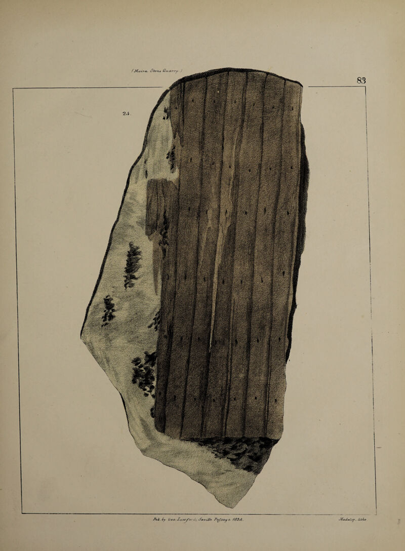 cy, l&t'ko JU. iy (j&o:XcuwforUss S+Atiil* P^fjuyt- ftf3A.