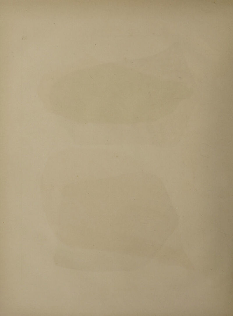 A . ' '