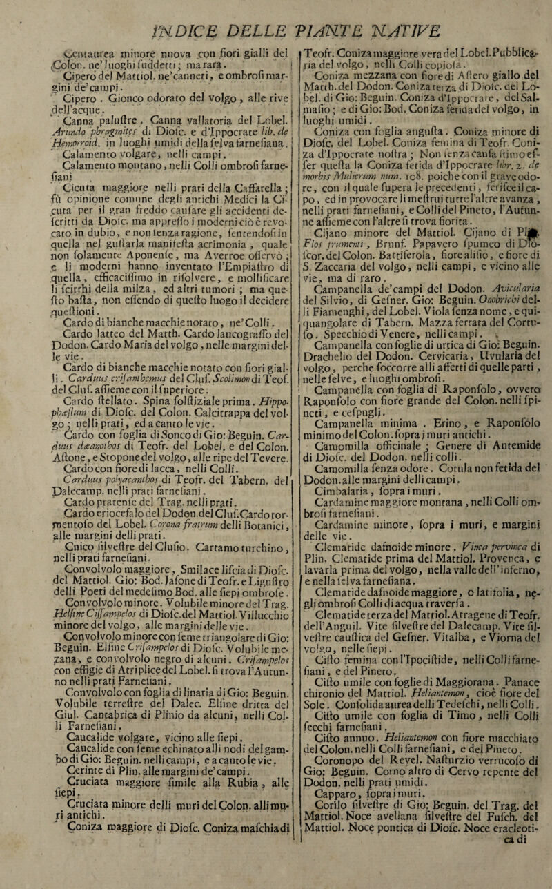 ^manrea minore nuova con fiori gialli dei Colon. ne’ luoghi 1 uddecri ; ma rara. j Cipero del Mattiol. ne’canneti , e ombrofi mar¬ gini de’ campi. Cipero . Cionco odorato del volgo , alle rive i delj’acque, Canna palufire . Canna vallatoria del Lobel. i Arando phragmites di Diofc. e d’Ippocrate lib.de \ Hcmorroid. in luoghi umidi della felvaiarnefìana. Calamento volgare, nelli campi. Calamento montano, nelli Colli ombrofi farne- fian i Cicuta maggiore nelli prati della Cacarella ; fù opinione comune degli antichi Medici la Ci¬ cuta per il gran freddo caufare gli accidenti de¬ ferito da Dioic. ma apprefioi moderni cioè revo¬ cato in dubio, e non lenza ragione, fentendofiin quella nel gufarla manifefta acrimonia , quale non (piamente Aponenle, ma Averroe ofiervò ; e li moderni hanno inventato l’Empiafiro di quella, efficacifiìmo in rifolvere, e mollificare li fcirrhi della miiza , ed altri tumori ; ma que¬ llo bada, non effondo di quello luogo il decidere quell ioni. Cardo di bianche macchie notato, ne3 Colli. Cardo latteo del Matth. Cardo laucografio del Dodon. Cardo Maria del volgo, nelle margini del¬ le vie. Cardo di bianche macchie notato con fiori gial¬ li . Cardaas crifantbemus del Ciuf. Scolimondi Teof. del Ciuf, affieme con il fuperiore. Cardo (Iellato. Spina folfiiziale prima. Hippo- fbcejìam di Diofc. del Colon. Calcitrappa del vol¬ go ; nelli prati, ed acanto le vie. Cardo con foglia di Soncodi Gio: Beguin. Car- duus dctanoihos di Teofr. del Lobel. e del Colon. Aftone, e Stoponedel volgo, alle ripe del Tevere. Cardo con fiore di lacca, nelli Colli. Cardaus polyacantbos di Teofr. del Tabern, del Dalecamp. nelli prati farnefiani. Cardo pratenfe de! Trag. nelli prati. Cardo eriocefalo del Dodon.del Cluf.Cardo tor- mentofo del Lobel. Corona fratrum dell! Botanici, alle margini delliprati. Cnico filvefire delCIufio. Cartamo turchino, nelli prati farnefiani. Convolvolo maggiore, Smilace lifeiadi Diofc. del Mattiol. Gio: Bod. Jafonedi Teofr.eLigufiro delli Poeti del medefimo Bod. alle fiepi ombrofe. Con volvolo minore. Volubile minore del Trag. Helfine Cijfampelos di Diofc.del Mattiol. Vilucchio minore del volgo, alle margini delle vie. Convolvolo minore con feme triangolare d i Gio: Beguin. Eifine Crifampeìos di Diofc. Volubile rne- zana, e convolvolo negro di alcuni. Crìfampelot con effigie di Atriplice del Lobel.fi crovarAutun- no nelli prati Farnefiani. Convolvolo con foglia di linana di Gio; Beguin. Volubile terreilre del Dalec. Eifine dritta del Giul. Cantabrica di Plinio da alcuni, udii Col¬ li Farnefiani. Caucalide volgare, vicino alle fiepi. Caucalide con leme echinato alli nodi del gam¬ bo di Gio: Beguin. nelli campi, e a canto le vie. Cerinte di Plin. alle margini de’campi. Cruciata maggiore limile alla Rubia , alle fiepi. Cruciata minore delli muri del Colon, alli mu¬ ri antichi. Coniza maggiore di piofe. Coniza mafehia di Teofr. Coniza maggiore vera del Lobel. Pubblica ria del volgo, nelli Colli copio!?. • Coniza mezzana con fiore di Afiero giallo del Matth. del Dodon. Coni za terza di Diofc. nel Lo¬ bel. di Gio: Beguin. Coniza d’ippocrare, delSai- mafio; e di Gio: Bod. Coniza fetida del volgo, in luoghi umidi. Coniza con foglia angufta. Coniza minore di Diofc. del Lobel. Coniza femina di Teofr. Coni¬ za d’Ippocrate nofira ; Non lenzacaufa itiDoef- fer quella la Coniza fetida d’ippocrare lér. 2. de morbis Muherum nam. 108. poiché con il grave odo¬ re , con il quale fupera le precedenti, fot ifee il ca¬ po , ed in provocare li melimi tutte Falere avanza, nelli prati farnefiani, e Colli del Pineto, l’Autun- ne afiìeme con l’altre fi trova fiorita. Cijano minore del Mattiol. Cijano di Pl||. Flos frumenti, Brunf. Papavero 1 pigmeo diDio- lcor. del Colon. Battiferola, fiorealifio, efioredi S Zaccaria del volgo, nelli campi, e vicino alle vie, ma di raro. Campanella de’campi del Dodon. Avicularia del Silvio, di Gefner. Gio: Beguin. Onobricbi del¬ li Fiamenghi, del Lobel. Viola lenza nome, e qui- quangolare di Tabern. Mazza ferrata del Cortu- fo. Specchio di Venere, nelli campi. * Campanella con foglie di urtica di Gio; Beguin. Drachelio del Dodon. Cervicaria, Uvularia del volgo, perche foccorre alli affetti di quelle parti, nelle felve, e luoghi ombrofi. Campanella con foglia di Raponfolo, ovvero Raponfolo con fiore grande del Colon, nelli fpi- neti, ecefpuglj. Campanella minima . Ermo, e Raponfolo minimodelColon.fopraimuri antichi. Camomilla officinale j Genere di Antemide di Diofc. del Dodon. nelli colli. Camomilla fenza odore. Conila non fetida del Dodon. alle margini delli campi , Cimbalaria, fopraimuri. Cardaniine maggiore montana, nelli Colli om¬ brofi farnefiani. Cardamine minore, fopra i muri, e margini delle vie. Clematide dafnoide minore . Vinca pervinca di Plin. Clematide prima del Mattiol. Provenca, e lavarla prima del volgo, nella valle dell’inferno, e nella fel va farnefiana. Clematide dafnoide maggiore, olat tolia, ne¬ gli ombrofi Colli di acqua traverfa. Clematide terza del Mattiol. Atragene di Teofr. dell’Anguil. Vite filvefiredel Dalecamp. Vite fil- veilre cauftica del Gefner. Vitalba, e Viorna del volgo, nelle fiepi. Cifio femina conl’Ipociftide, nelli Colli farne¬ fiani, edelPineto. Cifio umile con foglie di Maggiorana . Panace chironio del Mattiol. Heliantemon, cioè fiore del Sole. Confolida aurea delli Tedefchi, nelli Colli. Cifio umile con foglia di Timo, nelli Colli fecchi farnefiani. Cifio annuo. Heliantemon con fiore macchiato del Colon, nelli Colli farnefiani, e del Pineco. Coronopo del Revel. Nafturzio verrucofo di Gio: Beguin. Corno altro di Cervo repente del Dodon. nelli prati umidi. Capparq, (opraimuri. Corilo filvefire di Gio; Beguin. del Trag. del Mattiol. Noce avellana filvefire del Fufch. del Mattiol. Noce pontica di Diofc. Noce eracleoti- i ca di