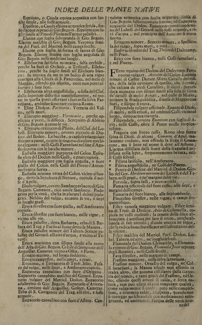 Equiseto, o Cauda equina acquatica con lun¬ ghe fetole, alle fofTe acquofe. Equiseto, o Cauda equina acquatica fetida, lot¬ to Tacque repenti di Gio:Beguin. Equifetocon fo¬ glie fimilealPinodiPlinioneUacquepaluftri. Elatine con fòglia fubrotonda di Gio: Beguin. Elatine rnafchia di Gio; Beguin. Veronica femi¬ na del Fucf. del Mattiol. nelli campi fecchi. Elatine con foglia in forma di faetta di Gio: Beguin. Elatine femina con foglia angolola di Gio: Beguin. nellirnedefìmi luoghi. * Elleborina latifolia montana , falfa orchide, perche ha fiori di Orchide, o Tediceli, Ellebo¬ rina , perche ha foglie filmili all’Elleboro bian¬ co : fu trovata da me in un bofeo di una vigna contigua alla Chiefia di S. Pancrazio, nel mefedi Maggio, eflendo già sfiorita, onde non potei of- fervare i fuoi fiori. * Elleborina altra anguftifolia, ofefta del Ciuf, dalla fuperiore diflèrifee manifeftamente, nè me¬ no in quella potei oflervare i fiori nella fel va Far- nefiana, ambidue fiono rare vicino a Roma. * Eline Diofcor. Paria aria. Vetraria del Vol¬ go, nelli muri, * Elitropio maggiore . Verrinarla , perche ap¬ plicata a’porri, li diflecca. Scorpuiro di Ablìrto di Gio: Beguin. g canto le vie. * Elitropio tricroceo di Plinio, del Ciuf, del Lo- bell. Elitropio minore, ovvero picciolo di Dio- icor. del Bodeo. Le bacche, o capitile triangolate dricate a panni , o carte le tingono di colore torchi¬ no elegante : nelli Colli Farnefiani nel fine d’Ago- do fi trova con le bacche mature . Eufralia maggiore purpurea del Colon. Eufra¬ lia altra del Dodon. nelli Colli, e prati copiofa. Eufralia maggiore con foglia angufta, e fiore giallo del Colon, nelli Colli del Pineto l’Autun¬ no fi trova fiorita . Eufralia minima verna del Colon, vicino al luo¬ go , dettolaSepolturadi Nerone, copiofa il me¬ le d’Aprile. Ebulo volgare, ovvero Sambucp erbaceo di Gio: Beguin. Cameatte, cioè umile Sambuco. Poda- grina per la virtù, che ha in placare! dolori poda¬ grici. Nebbio del volgo, accanto Je vie, e fiepi in luoghi graffi. Eruca lìlvedre con fiore giallo, nelTAmfiteatro popiofa. Eruca filvedre con fiore bianco, nelle vigne, e vicino alle vie. Eruca paluftre, detta Barbarea, erbadiS. Bar¬ bara del Trag e Fucilo al fiume defro la Marana. Eruca paludre minore del Tabern. Senape pa¬ ludre del Gerard, adirivi d’acqua, e vicino al Te¬ vere. Eruca maritimi con fiiliqua limile alla punta dell’ Ada di Gio: Beguin. Calcile di Serapione dell’ Anguillar. Camerar. vicino a Odia, e Porto. Eringio marino, nel luogo fuddetto. Eringiocampedre, nelli campi, e prati. Evonimo, e Tetragona di Teofr. Silio. Fufa- ro dal volgo, nelle Siepi, e Amfiteatrocopiofo. ^ Eupatorio cannabino con fiore d’Origano . Eupatorio cannabino mafehio del Gerard. Eupa¬ torio volgare del Mattiol. Dodon. Eupatorio adulterino di Gio: Beguin. Eupatorio d’Avicen- na , creduto dall’Anguillar. Gefner. Camerar. Erba di S. Cunigunde del Trag. alli rivi, efoflè acquofe. Eupatorio cannabino con fiore d’Aftero. Can- nabina acquatica con foglia tripartita divifia 41 Gio: Beguin. fallo eupatorio femina ; ed Eupatorio acquatile del Dodon. Eupatorio cannabino femi¬ na del Lobell. del Gerard, nelle foffie acquofe, e ri¬ vi d’acqua , nel principio delTAutimno fi trova , fiorito. Eringero minore . Senecio minore, eSpellico- fadcl volgo, fopra muri, e tetti. Endivia filvedre del Trag.TVw/del Dalecamp. nelli Prati. Erica con fiore bianco, nelli Colli farnefiani ? e nel Pineto. : '1 ' : ' f FErro equino del Dodon. del Dalecamp, Ferro equino volgare. Aceraton del Colon. Lunaria minore di Cador. Durant. Sferra Caval’o del vol¬ go, della falla opinione di quello, che fi crede, che calcata da piedi Cavallini, li sferri. Securb daca montana con filique dm ili alla fola d) ferro de’cavalli di molti Autori , nel colle di Mario , accanto la drada pubblica, il mefedi Maggio con fiori, e fìlique fi trova, Filipendula volgare officinale. Enante di Diofic. di molti, nelli erbofì, ed ombrofi Colli vicinoal luogo, detto acqua tra verfa. Filipendula, ovvero Enantecon con foglia di A- pio, nelli Colli, oltre il Ponte molle frequ^n- tiflìma. Fragaria con frutto rodo. Rovo ideo fenza fpina di Diofc. di alcuni Cornami. d’Apul. ma¬ lamente creduto, non edfendo la fraga il Coma- rone, ma fi bene tal nome fi deve all’Arbuto ; L’acqua diffidata dalli frutti della fragaria è uti- lidima nella lepre, frequentemente bevuta, nel- li Colli felvofi. Filirea latifolia, nelTAmfiteatro. * Filirea anguftifolia, ne’Colli del Pineto. * Fenice di Diofcor. del Mattiol di Dodon. Gio- lio del Ger. Honieum murìmm del Lobell. e del T$- bern.nelli prati, e ne’margini delle vie. Fervola, l'opra faffi , e muri antichi. Fumaria officinale del fiore rodò, alle fiepi, e margini delli campi. Fumaria del fiore bianco, alle fiepi ombrofe. Finocchio filvedre, nelle vigne, e campi fre¬ quenti (fimo. ‘ Filice ramofa maggiore volgare . Filice femi¬ na di Teofr. di Diofcor. Avia di Coiumeila, co¬ piofa ne’colli ornbrofi : la cenere della filice ab¬ bracciata è attiflìma per fare il vetro, percheab- bonda di Tale nitrofo ; d’onde ancora ne fegue, che la radica fia molto efficace neli’odruzziorji défi¬ lé vifeere. Filice rnafchia del Mattiol. Fucf. Dodon. Lo- bel. Tabern.ed altri, ne’luoghi fel voli. Flammula del Dodon. Clematide, o Flammu- ]a repente di Gio: Beguin. Fiammata Jovis repente degli Botanici, nelli Colli fecchi . Fava filvedre, nelle margini de’campi. Fraflìno maggiore, nella fel va farnefiana. Fraflìno minore. Ornelio del volgo, ne’Cofi li farnefiani; la Manna iifuale non eflendo in realtà altro, che gomma diffidante dalla cortec¬ cia del tronco, e rami grò fi del fraflìno, ed Or¬ no; eflendo quefti arbori di calda, e fecca na¬ tura , non può effere di così temperate qualità , come volgarmente fi crede : però nellecomplef- lìoni, e infermità calde, èiuipetta, quando non fi corregge mefchiandoh con medicamenti refri¬ geranti, ed umettanti: l’acqua delle verdilcor- zedel