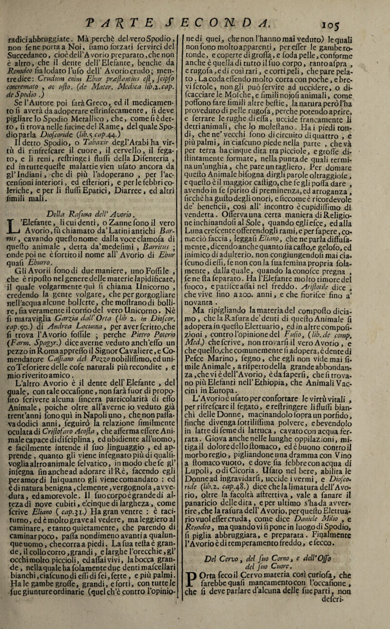 V A1{ T E SECONDA. radici abbruggiate. Mà perchè dei veroSpodio, non iene porrà a Noi, fiamo forzati fervi rei dei Succedaneo, cioè dell’Avorio preparato, che non è altro, che il dente dell’Elefante, benché da Renodeo fialodato Tufo dell’ Avoriocrndo; men¬ tre dice: Crudum enim Ebur pr<e(ìantius cft, feipfo concremato , ac ufo. (de Mater. Medica iib.l.cap. de Spodio .) Se l’Autore poi farà Greco, ed il medicamen¬ to fi averà da adoperare eflrinfecamente, fi deve pigliare lo Spodio Metallico , che, come fi è det¬ to , fi trova nelle fucine del Rame, del quale Spo¬ dio parla Diofcoridc (Hb.*) cap.44.) Il detto Spodio, o Tabaxir degl’Arabi ha vir¬ tù di rinfrescare il cuore, il cervello, il fega¬ to, e li reni, rertringei Audi della Difenteria , ed intuttequefte malattievien tifato ancora da gl’indiani, che di più l’adoperano , per l’ac- cenfioni interiori, ed citeriori, e per le febbri co¬ leriche, e per li Audi Epatici, Diarree, ed altri limili mali. Della Rafura dell’ Avorio. L’Elefante, li cui denti, o Zanne fono il vero Avorio, fìi chiamato da’Latini antichi Bar- r«r, cavando queltonome dalla voceclamofa di quello animale , detta da’medefimi , Barritus onde poi ne èfortitoil nome all’ Avorio di Ebur quafi Ebano, Gli Avorii fonodi duemaniere, uno Follile , che è riporto nel genere delle materie lapidi Acate, il quale volgarmente qui fi chiama Unicorno , credendo la gente volgare, che per gorgogliare nell’acqua alcune bollette, che inoltrano di bolli¬ re, fia veramente il corno del vero Unicorno. Nè fi maraviglia Garzia dalV Or t a (lib 2. in Diofcor. cap.50.) di Andrea Lacurina, per aver fcritto,che fi trova l’Avorio follile ; perche Pietro Potorio (Farm. Spagyr.) dice averne veduto anch’erto un pezzo in Roma appreffo il Signor Cavai iere, e Co- mendatore Cafflano del Pozzo nobiliflimo, ed uni¬ co Teforiere delle cofe naturali piu recondite , e mio riverito amico. L’altro Avorio è il dente dell’Elefante , del quale, con tale occafione, non farà fuor di propo¬ sto fcrivere alcuna fincera particolarità di erto Animale, poiché oltre all’averne io veduto già trent’anni fono qui in Napoli uno, che non pallia¬ va dodici anni, Seguirò la relazione Umilmente oculata di Crifofaro Acofla, che afferma effere Ani¬ male capace didifciplina, ed ubidiente all’uomo, e facilmente intende il fuo linguaggio , ed ap¬ prende, quanto gli viene infegnatopiùdi quallì- voglia altro animale Selvatico, in modo chefe gl’ ìnfegna fin anche ad adorare il'Rè, facendo egli per amor di lui quanto gli viene comandato : ed è di natura benigna, clemente, vergognosa, avve¬ duta, ed amorevole. Il fuo corpo è grande di al- tezadi nove cubiti, e!cinque di largheza, come Scrive Ebano ( cap.$ 1.) Ha gran ventre : è taci¬ turno , ed è molto grave al vedere, ma leggiero al cambiare, e tanto quietamente, che parendo di caminar poco, paffa nondimeno avanti a qualun¬ que uomo, che corra a piedi. La Sua terta è gran¬ de , il collo corto, grandi, e larghe l’orecchie, gl’ occhi molto piccioli, ed affai vivi, la bocca gran¬ de , nella quale ha Solamente due denti mafcellari bianchi, ciafcuno di erti di fei, fette, e più palmi. Ha le gambe groffe, grandi, e forti, con tutte le Sue giunture ordinarie (quelch’è contro l’opinio- nedi quei , che non l’hanno mai veduto) lequali non fono moltoapparenti, perefler le gambero- tonde , e coperte di groffa, e Soda pelle, conforme anche è quella di tutto il fuo corpo, tanto afpra , e rugofa ,edi così rari, e corti peli, che pare pela¬ to . La coda eiTendo molto corta con poche, e bre¬ vi Setole, non gli può Servire ad uccidere, o di- icacciare le Molche,e Simili nojofi animali, come portòno fare Amili altre beftie, la natura però l’ha proveduto di pelle rugofa, perche potendo aprire, e ferrare le rughe di erta, uccide francamente li detti animali, che lo molertano. Hai piedi ton¬ di, che ne’vecchi fono di circuito di quattro , e più palmi, in ciafcuno piede nella parte , chevà per terra ha cinque dita trapicciole, egrortè di- rtintamente formate, nella punta de quali termi¬ na un’unghia, che pare un taglierò. Per domare quello Animale bifogna dirgli parole oltraggiole, e quello è il maggior calligo, che fe gli porta dare , avendo in fe Ipirito di preminenza, ed arroganza , Sicché ha gufto degli onori, e Siccome è ricordevole de’ beneAcii, così all’ incontro ècupidilfimo di vendetta. Offervauna certa maniera di Religio¬ ne inchinandoli al Sole, quando egli efee, ed alla Luna crefcente offerendogli rami, e per Sapere, co¬ me ciò faccia, leggali Ebano, che ne parla diffufa- mente,dicendoanche quanto ila callo,e gelofo,ed inimico di adulterio, non congiungendofi mai cia¬ fcuno di erti, Se non con ia fuafemina propria Sola¬ mente, dallaquale, quando laconofce pregna , Sene Ila Separato. Ha l’Elefante molto timore del fuoco, epatifceaffai nel freddo. Arifotile dice , che vive lino a 200. anni, e che fiorifee fino a’ novanta . Ma ripigliando la materia del comporto dicia¬ mo, chelaRafurade’denti di quertoAnimale li adopera in quello Elettuario, ed in altre compofi- zioni, contro l’opinione del Fufio, ( lib.de comp, Med) che feri ve, non trovarli il vero Avorio, e che que!lo,che comunemente li adopera, èdente di Pefce Marino, Segno, che egli non vide mai Si¬ mile Animale, a rifpetto della grande abbondan¬ za, che vi è del l’Avorio, èdafaperfi, che li trova¬ no più Elefanti nell’Ethippia, che Animali Vac¬ cini in Europa. L’Avorio è ufato per confortare le virtù vitali , per rifrefeare il fegato, e reftringere li Aurti bian¬ chi delie Donne, macinandolo Sopra un porfido, finche divengafottiliffima polvere, ebevendolo in latte di Seme di Jattuca, cavato con acqua fer¬ rata. Giova anche nelle lunghe oppilazioni, mi¬ tigali dolore dello ftomaco, ed è buono contro il morboregio, pigliandone una dramma con Vino a llomaco vuoto, e dove Sia febbre con acqua di Lupoli, odi Cicoria, tifato nel bere, abilita le Donne ad ingravidarsi, uccide i vermi, e Dioffo- ride (lib.2. cap.48.) dice che la limatura dell’Avo¬ rio, oltre la facoltà ailrettiva , vale a fanare il panando deliedita, e per ultimo s’hada avver¬ tire, che la rafura dell’ Avorio, per quello Elettua¬ rio vuoleffercruda, come dice Daniele Milio , e Renodeo, ma quando vi lì pone in luogo di Spodio, fi piglia abbruggiara, e preparata. Finalmente l’Avorio è di temperamento freddo, e Secco. Del Cervo, del fuo Corno, e delVOffo del fuo Cuore. POrta Seco il Cervo materia così curiofa, che farebbe quafi mancamentocon l’occafione , che fi deve parlare d’alcuna delle Sue parti, non deferì-