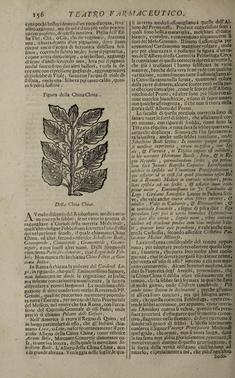 cimi pochi bollori'dentrod’uii pocod’acqua > fenz ^altroaggiunto, ma da mè è dato più volte pratica¬ to con profitto, di quella maniera • Piglia dell Er- ba Thè, Chà, oCia, che dir vogliamo, dramma una, lì butta dentro d'un pignatino, dove liano cinque oncied'acqua di bettonica diffillata boi* jente, coprendo lubito molto bene il pignatino » c come averà dato cinque , o lei bollori, aggiungi di Teme d’anifo ferii polo uno, leva poi ilpignaù- no dal fuocodopo due altri bollori, e cola la de¬ cozione con elprcffione gagliarda, aggiungendovi di giulebbe di Viole, fatto con l’acqua di viole di- ilillata, oncia una. Si beva poi tanto caldo ^pall¬ io lì potrà foffrire , Figura della China China . Della China China. Vendo dùcono del Riobarbaro, medicamen¬ to contro le febbri, f'e ne viene in groppa di jraguagiiare a Curiolìdella materia Medicinale, quel l’altro infigne Febbrifugo,fccverto l’ufo d’effb qui nel preferite fecole, il quale chiamalo China China, ed altri,fecondo riferifee Sebafiiano Badi, Gannaperide , Chinane pi de , Guananepide , Gitana- r,egide, e con limili altri nomi. Dalli Spagnuoli vien detto Pahsde c dentar a s, cioè Legno delle Feb¬ bri : Non manca chi ìo chiama China Febea . e Gen. ti etti a Indica. In Roma lì chiamala polvere del Cardinal La¬ go, in riguardo,chequeir EminentiflìmoSignore, non iolamentene diede la cognizione in Italia; ma inlìeme con caritativa munificenza, la faceva difpenfarea poveri languenti. La medefmiaobli- ! gazione fi deve confermare verfoi Reverendi PP.! Geluiti, quali ne procurano mantenere provedu-1 ta tutta l’Europa , per mezzo dei loro Provinciale j del Medico, nel venire che fa a Roma, con Tocca-1 bone del Capitolo Generale di effi Padri; ondej perciò li chiama Polvere delli Gefuitì. Nell’America fi trova il Regno di Quito, ed in luogo particolare di elfo, che gl’Indiani chia- mano'Loxa, oLoja, nafee fpontaneamente il pre- ziofo Albero della China China, come riferifee ! Antonio Bollo, Mercante Genovefe dimorante co- ; là, in una fua lettera, della quale fa menzione Se. bajìiano Badi. L’Albero della China China , non è di grande altezza. Verdeggia nelle fòglie,le qua¬ li incerto modofialfomiglianoà quelle dell’Al¬ bero del Pruno rodò. Produce copioiidìmi fiori i quali fono belli a maraviglia, mefehiati di color bianco, e ceruleo, e convengono alquanto con li fiori del MeloGranato. Il frutto fi alfomiglia per appuntoal Cardamomo maggiore volgare , onde per più chiarezza fi è polla qui la figura d’un ra¬ mo dell’Albero di ella Corteccia Febbrifuga.Circa la cognizione di quella corteccia doverà avvertirli, che già i truffatori l’hanno falfificata in varie maniere, benché della vera fe ne vede con qualche variazione, nientedimeno tutte fi afiomiglianoal¬ la Cannella tanto nella forma, quanto nel colore della parte di dentro, alcune feorze però nella par¬ te citeriore fono afpre, come le feorze dell’Albero vecchio dei Pruno, edaltrefono più lilcie con al¬ cune macchie bianchicce, e fono di lapor amaro con qualche adringenza, il che non fi trova nella feorza dell’ Albero del Pruno. Le facoltà di quella preziofa corteccia fono di fanare tutte le forti di febbri, che adaltano il cor¬ po umano, con rigore di freddo, come fono la Terzana efquilìta, e notadana la febbre quartana» ancorché duplicata. Sitrovachi l’ha (perimenta? cafalutifera , anche nelle febbri cotidiane, onde Sebafliano Badi fcrive : In continua quoque prode]- Je monjìrat cxpericntia , rerum magi fica , lune Se* nis , & Fiorenti£ , in Tufcbia cceptus efì adhiberì, in h'a narrante Ilieronymo Bardi . Itcm , Lo in Re- yno N eapola , quemadmodum fcribit , qui pericu. )um fecit Jeanne s Baptifìa Capucius Iatrochymicus Celebris in epiflola ad Vincentium Prctofpatbarium , qui te fìat ur id in epijl.fed quod plurimum refert Ro- à Romanis Medicis in contìnua, ufurparì, pecu¬ liari epiflola ad me fcribit , Lo tefìatur ornai exce- ptione major , Emine ntijfimus vir Jo: Cardinalis de Lago : Girolamo Santafofa Lettor in Padova fcri¬ ve, che vale anche coma alias febres potentes , & rebelles . Valet in Catharris , Rbeitmatifmis , D in vendicalo firmando , e fegue di più a dire Fgj pericolimi ftpè feci in variis bominibus Hypocondria- cis dato ìllis corticc , fingalo mane , tribùs continua vi ciò us ad dr cubane pondus cum vino mufeaio levio- ri , quatuor horis ante prandium, e vale anche con¬ tro la Cacheffìa, fecondo afferifee Crifloforo Pai lavicino Medico Milanefe. Lacircoffanzaconfiderabile del tempo oppor¬ tuno, peradoprare profittevolmente quella feor¬ za, è materia, che porta feco molte altre confe- guenze, cioè fe doverà purgarli il paziente prima, che venga all’ ufo di ella ? intorno a ciò non man¬ cano controverlìe . Alcuni Scrittori moderni, fon¬ dati fu l’autorità degl’ Antichi, pretendono, che la China China fi debba ufare alìolutamente nel tempo, che la febbre farà fermata in qualche flato dimoiti giorni, onde Cbiflezio conchiude : Pojì morbi totms (iatum in declmaùone , perche gl'umo- ri allora fono concotti; ma qui bifogna avver¬ tire, che quella corteccia Febbrifuga, opera con¬ tro le febbri accennate, per appunto, come opera¬ no l’Antidoti controli veleui, avendoeflapecu¬ liare proprietà d’eftinguere quel fe rmento corret¬ tivo , (lagnante nello llomaco, di dove ricevono il fomite tali generi di febbri. L’ilìdfo fenrimento conferva il Signor Vincenzo Protofpataro Medico di quel grido , cheormai, non fi trova luogo, dove la fua fama non abbia gloriofamente penetrato; li meriti virtuofi dunque di quello gran (oggetto, e la forza della verità obligano ciafcheduno ad amarlo, e fpecialmentea mè, che piùd’ogn’altro ho co-