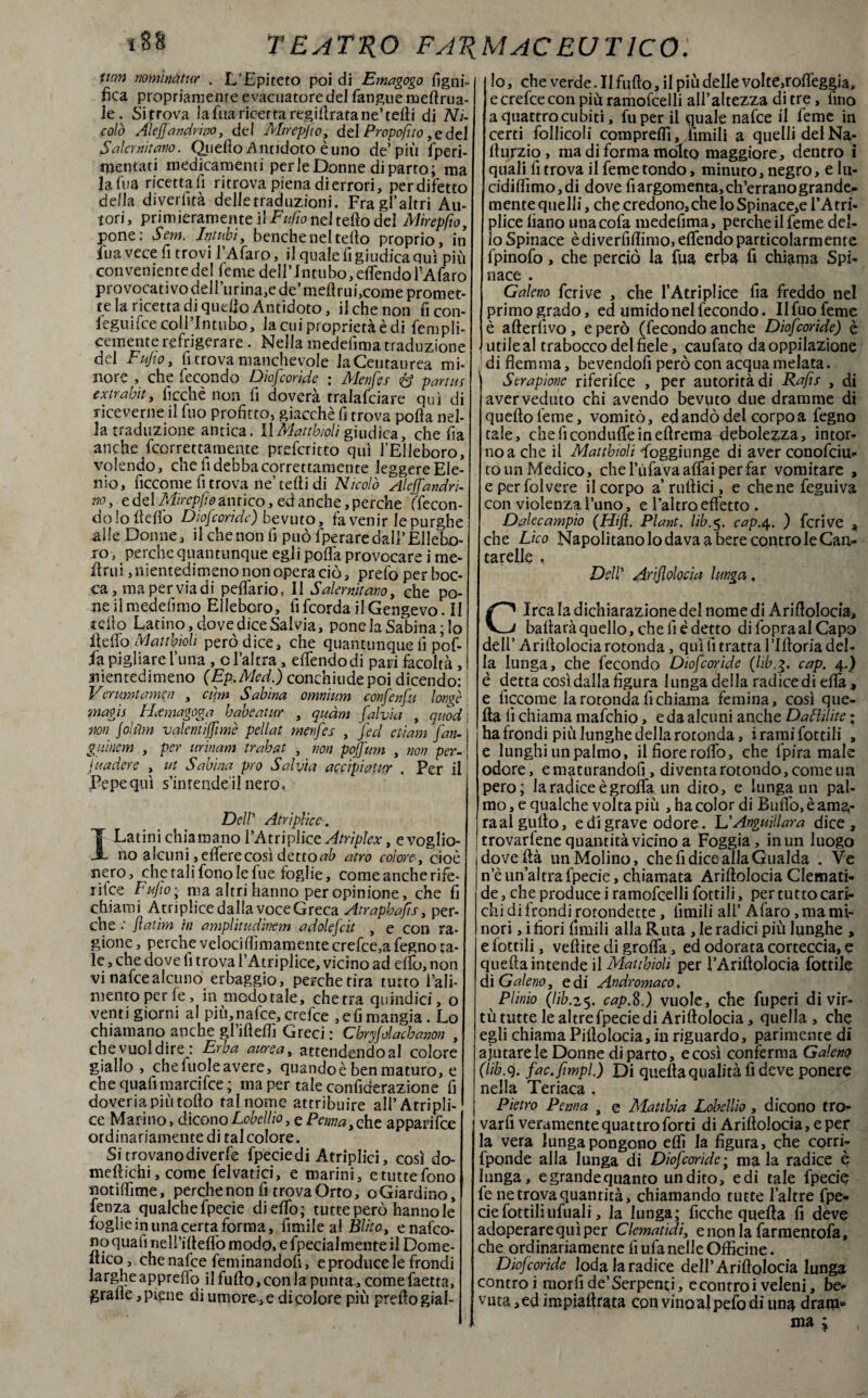 nomi nei tur . L’Epiteto poi di Emagogo ligni¬ fica propriamente evacuatore del fangue meftrua- ie. Sitrova lafna ricetta regi (Irata ne’ tedi di Ni¬ colò Alejjandritjo, del Mtrepfio, del Propofuo ,edel Salernitano. Quello Antidoto è uno de’più fperi- nientati medicamenti per le Donne diparto; ma la Tua ricettali ritrova piena di errori, perdifetto della diverlità delle traduzioni. Fragraltri Au¬ tori , primieramente il Enfio nel fello del Mtrepfw, pone: Sem. Intubi, benché nel tetto proprio, in fu a vece fi trovi l’Afaro, il quale li giudica qui più convenientedel femedeHTntubo,effendollAfaro provocati vodeHurina,e de’mettrui,come promet¬ te la ricetta di quello Antidoto, il che non ficon- feguifce coIPIntubo, la cui proprietà è di fempìi- cemente refrigerare . Nella medefima traduzione del Enfio, fi trova manchevole la Centaurea mi¬ nore , che fecondo Diofcoride : Menfes <& pania extrabit, licchè non li doverà tralafciare qui di riceverne il fuo profitto, giacché fi trova polla nel¬ la traduzione antica. IlMatthiolì giudica, che fia anche feorrettamente preferito qui l’Elleboro, volendo, che fi debba correttamente leggere Ele¬ nio, ficcome fi trova ne’tetti di Nicolò Alejfandri- no, e del Mirepfw antico, ed anche, perche (fecon¬ do folletto Diof:oride) bevuto, fa venir le purghe alle Donne, il che non fi può fperare dall’Ellebo¬ ro , perche quantunque egli polla provocare i tne- ttrui, nientedimeno non opera ciò, prefo per boc¬ ca, ma per viadi pelfario, Il Salernitano, che po- neilmedefimo Elleboro, fifcordailGengevo.il cello Latino, dove dice Salvia, pone la Sabina; lo ileiTo Matthiolì però dice, che quantunque fi pof- fa pigliare l’una , d’altra , eflendodi pari facoltà , I nientedimeno (Ep.Med.) conchiudepoi dicendo: ! Verumtamen , cim Sabina omnium confinfu longè magìs LIemagoga habeatur , quàm falvia , quod \ non foìùm valentijfimè pellat menfes , fed edam fan-1 guìnem , per min am trahat , non poffum , non per- j juadere , ut Sabina prò Salvia aecipiatur . Per il Pepe qui s’imendeil nero* Dell’ Atriplice-. I Latini chiamano l’AtripMct Atriplex, e voglio¬ no alcuni ,eflerecosì dettoci atro colore, cioè nero, che tali fono le lue foglie, come anche rife- rilce Enfio ; ma altri hanno per opinione, che fi chiami Atriplice dalla voce Greca Atrapbafts, per¬ che .' flatim in amplitudìnem adolefci.t , e con ra¬ gione, perche velocittìmamentecrefce3afegno ta¬ le , che dove fi trova l’Atriplice, vicino ad elio, non vi nafeealcuno erbaggio, perche tira tutto l’ali¬ mento per le, in modotale, chetra quindici, o venti giorni a! più,nafee, crefce ,efi mangia. Lo chiamano anche grilletti Greci : Cbryfolachanon , chevuoldire: Erba aurea, attendendoal colore giallo , che fuole avere, quando è ben maturo, e chequafimarcifce; ma per tale confiderazione fi doveria più totto tal nome attribuire ali’ Atripli¬ ce Marino, diconoLobellio, e Penna,che apparifee ordinariamente di talcolore. Si trovano diverfe fpeciedi Atriplici, così do- mettìchi, come felvatici, e marini, e tutte fono notittìme, perche non fi trova Orto, oGiardìno, fenza qualchefpecie di elfo; tutte però hanno le foglie in una certa forma, fimile al Blito, enafeo- no quali neiritteflò modo, e fpecialmente il Dome¬ nico , che nafee feminandoli, e produce le frondi larghe appretto il furto»con la punta , comefaetta, grafie, piene di umore , e di colore più pretto gial¬ lo , che verde .11 fuflo, il più delle volte,rofleggÌa, e crefce con più ramofcelli all’altezza di tre, fino a quattro cubiti, fu per il quale nafee il feme in certi follicoli compreflì, limili a quelli del Na- lìurzio, ma di forma molto maggiore, dentro i quali fi trova il feme tondo, minuto, negro, e lu- cidiflìmo,di dove fi argomenta, ch’errano grande* mente quelli, che credono, che lo Spinace,e l’Atri- plice liano una cola medefima, perche il feme del¬ lo Spinace è di verfirtimo, eflendo particolarm ente fpinofo, che perciò la fua erba fi chiama Spi¬ nace . Galeno fcrive , che l’AtripIice fia freddo nel primogrado, ed umido nel fecondo. Il fuo feme è afterlivo, e però (fecondo anche Diofcoride) è lutile al trabocco del fiele, caufato daoppilazione di flemma, bevendofi però con acqua melata. Serapione riferifee , per autorità di Rafis , di aver veduto chi avendo bevuto due dramme di queflo feme, vomitò, ed andò del corpo a fegno tale, cheficondufleineftrema debolezza, intor¬ no a che il Matthiolì Soggiunge di aver conofciu* to un Medico, che l’ufava affai per far vomitare , eperfolvere il corpo a’rullici, e che ne feguiva con violenza l’uno, e l’altro effetto . Dalecampio (Hijì. Plant. lib.$. cap.4. ) fcrive , che Lieo Napolitano lo dava a bere contro le Can¬ tarelle , Dell’ Arijlolocia lunga. Circa la dichiarazione del nome di Arittolocia, battarà quello, che fi è detto di fopra al Capo dell’ Arittolocia rotonda, qui fi tratta l’Ifloria del¬ la lunga, che fecondo Diofcoride (hb.g, cap. 4.) è detta così dalla figura lunga della radice di ella, e lìccome la rotonda fi chiama femina, così que¬ lla fi chiama mafehio, e da alcuni anche Daflilite ; ha frondi più lunghe della rotonda, iramifottili , e lunghi impalmo, il fiore rotto, che fpira male odore, e maturandofi, diventa rotondo, come un pero; la radice è graffa un dito, e lungarni pal¬ mo, e qualche volta più , ha color di Buttò, è ama¬ ra al gutto, e di grave odore. L'Anguillara dice, trovartene quantità vicino a Foggia, in un luogo doveftà un Molino, che fi dice alla Gualda . Ve n’èun’altrafpecie, chiamata Arittolocia Clemati¬ de , che produce i ramofcelli fottili, per tutto cari¬ chi di frondi rotondette, limili all’ Afaro, ma mi¬ nori , i fiori ùmili alla Ruta , le radici più lunghe , e fottili, vettite di grotta, ed odorata corteccia, e querta intende il Matthiolì per l’Anftolocia Lottile di Galeno, e di Andromaco. ^ Plinio (lib.z$. cap.Z.) vuole, che fuperi di vir¬ tùtutte le altre fpecie di Arittolocia, quella, che egli chiama Pittolocia, in riguardo, parimente di aiutare le Donne diparto, e così conferma Galeno (Uh.9. fac.fimpl.) Di quella qualità fi deve ponere nella Teriaca , Pietro Penna , e Matthia Lobellio, dicono tro¬ varli veramente quattro forti di Arittolocia, e per la vera lunga pongono etti la figura, che corri- fponde alla lunga di Diofcoride; mala radice è lunga, egrandequanto undito, edi tale fpecie fe ne trova quantità, chiamando tutte l’altre fpe¬ cie fottili ufuali, la lunga; ficche quella fi deve adoperare qui per Clematidi, e non la farmentofa, che ordinariamente lì ufa nelle Officine. Diofcoride loda la radice dell’Arittolocia lunga contro ì mor fi de’Serpenti, e contro i veleni, be* vuta,ed impiaftrata con vino al pefo di una dram* ma \