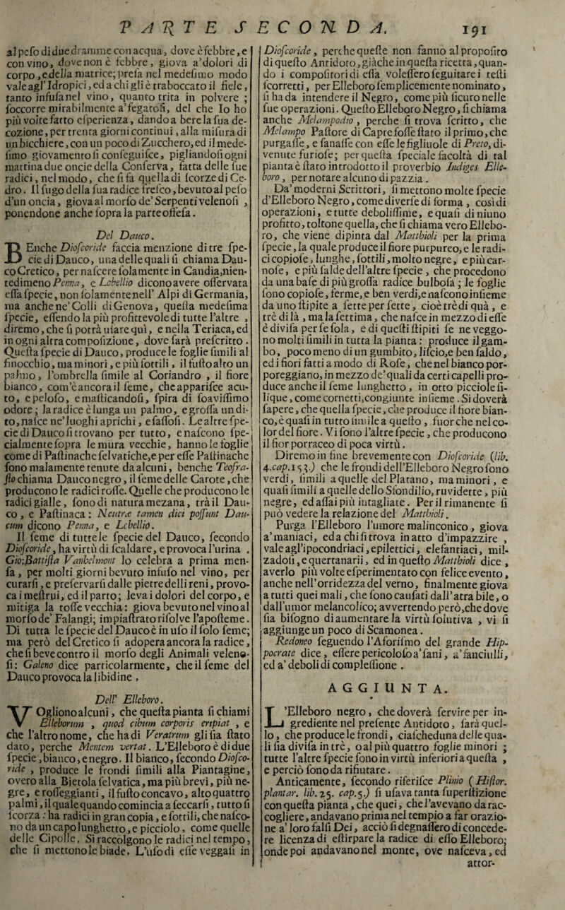 alpefo di due dramme con acqua, dove è febbre, e con vino, dove non è febbre, giova a’doìori di corpo, e della matrice; prefa nel medefimo modo vale agl’ Idropici, ed a chi gli è traboccato il fide, tanto infufanel vino, quanto trita in polvere ; (occorre mirabilmente a’fegatofi, del che Io ho più voite fatto efperienza, dando a bere la fua de¬ cozione, per trenta giorni continui ,alla mifuradi un bicchiere, con un poco di Zucchero, ed il mede- fimo giovamento li confeguifce, pigiiandofiogni mattina due oncie delia Conferva, fatta delle fue radici, nel modo, che li fa qiielladi Icorzedi Ce¬ dro. 11 fugo della fu a radice frefco, bevuto al pefo d’un oncia, giova ai morfo de’ Serpenti velenofi , ponendone anche lopra la parte ofièfa. Del Dauco. Eliche Dìofcorìde faccia menzione di tre fpe- cie di Dauco, una delle quali li chiama Dau- coCretico, pernafcerefolamentein Candia,nien- tedimenoPenna, <zLcbellìo diconoavere offervata ella fpecie, non lolamentenell’ Alpi di Germania, ma anche ne’Colli di Genova, quella medefima fpecie, elfendo la più profittevole di tutte l’altre , diremo, che fi potrà ularequi, e nella Teriaca, ed in ogni altracompoliziotte, dove farà preferitto . Quella fpecie di Dauco, produce le foglie fiutili al finocchio, ma minori, e più fottili, il tulio alto un palmo, l’ombrella fimile al Coriandro , il fiore bianco, com’èancora il feme, cheapparifce acu¬ to, epelofo, emalìicandofi, fpira di foavifiimo odore; la radice è lunga un palmo, egrolfaundi- to,nalce ne’luoghi aprichi, efaffofi. Lealtrefpe-; eie di Dauco fi trovano per tutto, enafeono i pe¬ nalmente fopra le mura vecchie, hanno le foglie come di Paflinache felvatiche,e per effe Pafiinache fono malamente tenute da alcuni, benché Teofra- fto chiama Dauco negro, il l'ente delle Carote, che producono le radici roffe. Quelle che producono le j radici gialle, fono di natura mezana, tràil Dau-I co , e Paflinaca : Neutra tamen dici poffunt Dau- cum dicono Penna, e Lcbellió. Il feme di tutte le fpecie del Dauco, fecondo Dìofcorìde, ha virtù di fcaldare, e provoca lurina . Gio'.Battìfla Vanbeìmont lo celebra a prima men- fa , per molti giorni bevuto infufo nel vino, per curarfi, e prefervarfi dalle pietre delli reni, provo¬ ca imeflrui, ed il parto; levai dolori del corpo, e mitiga la toffe vecchia : giova bevuto nel vino al morto de Falangi; impiaflratorifolve l’apofleme. Di tutta le fpecie del Dauco è in ufo il folo feme; nta però delGreticofi adopera ancora la radice, che fi beve contro il morfo degli Animali veleno* fi: Galeno dice particolarmente, che il feme del Dauco provoca la libidine , Dell' Elleboro. Oglionoalcuni, che quella pianta fi chiami Elleborum , quod cibum corporis enpiat , e che l’altro nome, chehadi Verairum gli fìa flato dato, perche Mcntem vertat. L’Elleboro è di due fpecie, bianco, e negro. Il bianco, fecondo Diofco- ride , produce le frondi fìntili alla Piantatine, overo alla Bietola felvatica, ma più brevi, più ne¬ gre, e roffeggianti, il fuflo concavo, alto quattro palmi, il quale quando comincia a leccarli, tutto fi icorza : ha radici in gran copia, e fottili, che nafco- no da un capo lunghetto, e picciolo, come quelle delle Cipolle, Si raccolgono le radici nei tempo, che fi mettono le biade. L’ufo di effe veggalì in Dìofcorìde, perche quelle non fanno al propofito di quello Antidoto, giàche in quella ricetta, quan¬ do i compoiìroridi ella volefferofeguitarei celli (corretti, per Elleboro femplicemenre nominato, iihada intendere il Negro, come più licuronelle fue operazioni. Quello Elleboro Negro, fi chiama anche Melampodio , perche fi trova fcritto, che Melampo Pallore di Caprefoffeflato il primo,che purga fife, e fanalfe con effe le figliuole di Preio, di¬ venute furiofe; per quella fpeciale facoltà di tal piantaè fiato introdotto il proverbio Jndiges Elle¬ boro, per notare alcuno di pazzia. Da’ moderni Scrittori, fi mettono molte fpecie d’Elleboro Negro, comediverfedi forma , cosìdi operazioni, e tutte debolifiìme, e quali diniuno profitto, toltone quella, che fi chiama vero Ellebo¬ ro, che viene dipinta dal Matthiolì per la prima fpecie, la quale produce il fiore purpureo, e le radi¬ ci copiofe >lunghe, fottili, molto negre, e più car- nofe, e più falde dell’altre fpecie , che procedono da unabafe di più grolla radice bulbofa ; le foglie fono copiofe, ferme,e ben verdfenafconoinlieme da uno ilipite a fette per fette, cioètrèdi quà , e tré di là , malafettima, chenafcejn mezzo di effe èdivifa per fe fola, e di quelli fiipiti fe ne veggo¬ no molti limili in tutta la pianta : produce il gam¬ bo, poco meno di un gumbito, Jifcio,e ben faldo, ed i fiori fatti a modo di Rofe, che nel bianco por¬ poreggiano, in mezzo de’ quali da certi capelli pro¬ duce anche il feme lunghetto, in otto picciolefi- lique, come cornetti,congiunte inlieme. Si doverà fapere, che quella fpecie, che produce il fiore bian¬ co, è quali in tutto limile a quello , fuorché nel co¬ lor del fiore. Vi fono l’altre fpecie, che producono il fior porraceo di poca virtù. Diremo in fine brevemente con Dìofcorìde (lìb. 4.cap.i<,i.) che le frondi dell’Elleboro Negro fono verdi, limili a quelle del Platano, maminori, e quali Umili a quelle delio Sfondilio,ruvidette, più negre, ed affai più intagliate. Per il rimanente fi può vedere la relazione del Matthiolì. Purga l’Elleboro l’umore malinconico , giova a’maniaci, ed a chi fi trova inatto d’impazzire , vale agl’ipocondriaci, epilettici, elefantiaci, mil- zadofi,equertanarii, ed in quello Matthiolì dice, averlo più volte efperimentato con felice evento, anche nell’orridezza del verno, finalmente giova a tutti quei mali, che fono caufati dall’atra bile, o dallumor melancolico; avvertendo però,che dove fia bifogno diaumentare la virtù folutiva , vi fi aggiunge un poco di Scamonea. Redoneo feguendo l’Aforifmo del grande Hip- pocrate dice, efferepericoloiòa’fani, a’fanciulli, ed a’ debolidi compleflìone . AGGIUNTA. L’Elleboro negro, che doverà fervireper in¬ grediente nel prefente Antidoto, farà quel¬ lo, che produce le frondi, ciafcheduna delle qua- li fia divifa in tré, oal più quattro foglie minori ; tutte falere fpecie fono in virtù inferiori a quella , e perciò fono da rifiutare. Anticamente, fecondo riferifee Plinio (Hifìor. piantar, lìb. 25. cap.5.) fi ufava tanta fuperllizione con quella pianta, che quei, che l’a vevano da rac¬ cogliere, andavano prima nel tempio a far orazio¬ ne a’ loro falfi Dei, acciò fi degnaffero di concede¬ re licenza di eltirpare la radice di elio Elleboro; onde poi addavano nel monte, ove nafceva,ed attor-