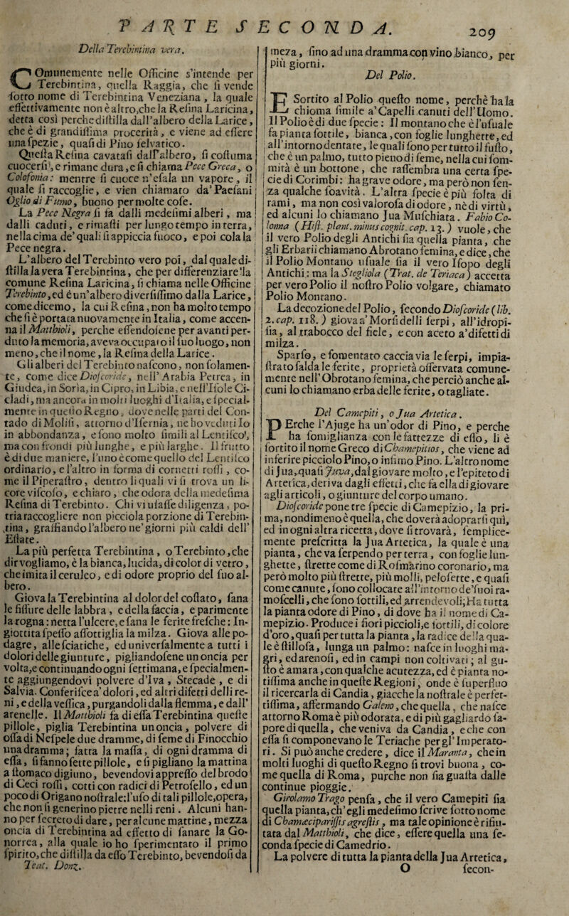 Della 'Ter evintiti a vera. Comunemente nelle Officine s’intende per Terebintina, quella Raggia, che fi vende fiotto nome di Terebintina Veneziana , la quale eflèttivamente non è altroché la Reiina Laricina, detta così perchediltilla dall’albero della Larice, che è di grandifììma procerità, e viene ad dière linafpezie, quafidi Pino felvatico. Quella Refina cavatafi dalfalbero, fi coll urna cuocerff, e rimane dura ,e fi chiama Pece Greca, o Colofonia: mentre lì cuoce n’efala un vapore , il ! quale fi raccoglie, e vien chiamato da’Padani ilio di Fumo, buono per molte cofe. La Pece Negra fi fa dalli medefimi alberi, ma dalli caduti, e rimarti per lungctempo in terra, I ne Ila cima de’quali fi appiccia fuoco, epoi colala' Pece negra. j L’albero del Terebinto vero poi, dal quale di- : llilla la vera Terebintina, che per differenziare “la i comune Kefina Laricina , fi chiama nelle Officine i Terebinto, ed è un’albero di ver flirtino dalla Larice, comedicemo, la cui Refina, non ha molto tempo che fi è portata nuovamente in Italia, come accen¬ na il Matthìoli, perche effendoicne per avanti per¬ duto la memoria, aveva occupai o il tuo luogo, non meno, che i 1 nome, la Refina della Larice. Gli alberi del Terebinto nafeono, non fedamen¬ te, come diceDiojcoride ) nell* Arabia Petrea, in Giudea, in Sorìa, in Cipro, in Libia, e nell’Ifole Ci- cladi, ma ancora in molti luoghi d’Italia, e fpecial- menre in querto Regno. dove nelle parti del Con¬ tado di Molili, attorno d’Ifernia, ne ho veduti Io in abbondanza, e fono molto limili al LentifcoV ma con fiondi più lunghe, e più larghe. Il frutto è didue maniere, runoècomequello del Lentifco ordinario, e l’altro in forma di cornetti rolli, co¬ me il Piperartro, dentro li quali vi fi trova un li¬ core vifeofò, e chiaro, che odora delia mede fmia Relìna di Terebinto. Chi vi ulaffe diligenza, po- tria raccogliere non picciola porzione di Terebin- ,tina, graffiando l’albero ne’giorni più caldi dell’ Ella te. La più perfetta Terebintina, oTerebinto,che dir vogliamo, è la bianca, lucida, di color di vetro, che imita il ceruleo, e di odore proprio del fuo al¬ bero . Giova la Terebintina al dolor del cofiato, Tana le fiffure delle labbra, e della faccia, e parimente la rogna: netta l’ulcere, e fana le ferite frefche : In- giottitafpeffo affottiglia la milza. Giova alle po¬ dagre, ailefciatiche, cd univerfalmentea tutti i doloridellegiunture, pigliandofene un oncia per volta,e continuando ogni fettimana,efpecialmen- te aggiungendovi polvere diva , Stecade , e di Salvia. Conferifce a’dolori ,ed altri difetti delli re¬ ni , e della vellica, purgandoli dalla flemma, e dall’ arenefle. Il Matthìoli fa di effa Terebintina quelle pillole, piglia Terebintina un oncia, polvere di offa di Nefpele due dramme, di feme di Finocchio una dramma; fatta la mafia, di ogni dramma di effa, fi fanno fette pillole, eli pigliano la mattina a rtomaco digiuno, bevendovi appreffo del brodo di Ceci rolli, cotti con radici di Petrofello, ed un poco di Origano noftraleffufo di tali pillole,opera, che non li generino pietre nelli reni. Alcuni han¬ no per lecretodi dare, per al cune mattine, mezza oncia di Terebintina ad effetto di fianare la Go¬ norrea, alia quale io ho fperimentato il primo IpiritOjchedirtilla da effo Terebinto, bevendofida l’eat. Domi. 209 meza, fino ad una dramma con vino bianco, per più giorni. Del Polio. E Sortito al Polio quello nome, perchè ha la chioma limile a’Capelli canuti delfllomo. I l Polio è di due fpecie : Il montano che èfufuale i fa Piantafor-tile, bianca,con foglie lunghette,ed ! all’ intorno dentate, le quali fono per tutto il furto, i che c impalmo, tutto pienodi feme, nellacui fom- j mira è un bottone, che raffembra una certa fpe- I eie di Corimbi : ha grave odore, ma però non fen- za qualche foavità. L’altra fpecie è più folta di rami, ma non così valorofa di odore, nè di virtù, ed alcuni lo chiamano Jua Mufchiata. Fabio Co. lonna ( Hijì. plant. mìnuscognìt. cap. 13. ) vuole > che il vero Polio degli Antichi fia quella pianta, che gli Erbarii chiamano Abrotano femina, e dice, che il Polio Montano ufuaie fia il verolfopo degli Antichi : ma la Stegliola (Trat. de Teriaca) accetta per vero Polio il nortro Polio volgare, chiamato Polio Montano. La decozione del Polio, fecondo Dìofcorìde ( lìb. 2. cap. 118.) giova a* Morfi delli ferpi, all’idropi¬ ca» al.trabocco del fide, e con aceto a’difettidi milza. Sparfo, e fomentato caccia via le ferpi, impia- rtrato falda le ferite, proprietà offervata comune¬ mente nell’ Obrotano femina, che perciò anche al¬ cuni lo chiamano erba delle ferite, o tagliate. Del Camcpiti, 0 Jua Artetica. PErche i’Ajuge ha un’odor di Pino, e perche ha fomiglianza con le fattezze di dio, li è fortito il nome Greco diChamepittosy che viene ad inferire picciolo Pino, o infimo Pino. L’altronome di Jua,quafi7w*>dai giovare molto, e l’epiteto di Artetìca,deriva dagli effètti,che fa ella di giovare agli articoli, o giunture del corpo umano. Diofcorìde pone tre fpecie diCamepizio, la pri¬ ma, nondimeno è quella, che doverà adoprarlì qui, ed in ogni altra ricetta, dove furo vara, fempiice- mente preferitta la Jua Artetica, la quale è una pianta, che va ferpendo per terra, con foglie lun¬ ghette , ftrette come di Rofmarino coronario, ma però molto più rtrecte, più molli, peloferte, e quafi come canute, fono collocate all’intorno de’fuoi ra- mofcelli, che fono fottili,ed arrendevoli;Ha tutta la pianta odore di Pino, di dove ha V. nome di Ca- mepizio. Producei fiori piccioli,e fiottili,dicolore d’oro,quali per tutta la pianta,la radice dellaqua- le è ftillofa, lunga un palmo : nafee in luoghi ma¬ gri, ed arenofi, ed in campi non coltivati ; al gu- llo è amara, con qualche acutezza, ed è pianta no- tiffima anche in quefte Regioni, onde è fu perfino il ricercarla di Candia, giacche la nortrale è perfet- tirtìma, affermando Galeno, che quella, che nafee attorno Roma è più odorata, e di più gagliardo la- pqrediquella, che veniva da Candia, echeeon effa fi componevano le Teriache per gl’Imperato¬ ri. Si può anche credere, dice il Mar anta, che in molti luoghi di quello Regno fi trovi buona, co¬ me quella di Roma, purché non fia guaita dalle continue pioggie. Girolamo Trago penfa, che il vero Camepiti fia quella pianta, eh’egli medefimo fcrive fottonome dì Cbatmeciparijjisagreflis ? ma tale opinione è rifiu¬ tata dal Matthìoli, che dice, effere quella una fe¬ conda fpecie di Camedrio. La polvere di tutta la pianta della Jua Artetica, O fecon-