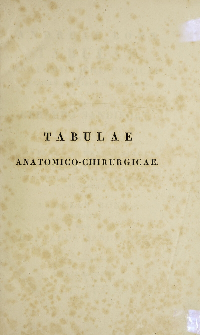 \ V \ TABULAE \ ANATOMICO-CHIRURGICAE. I