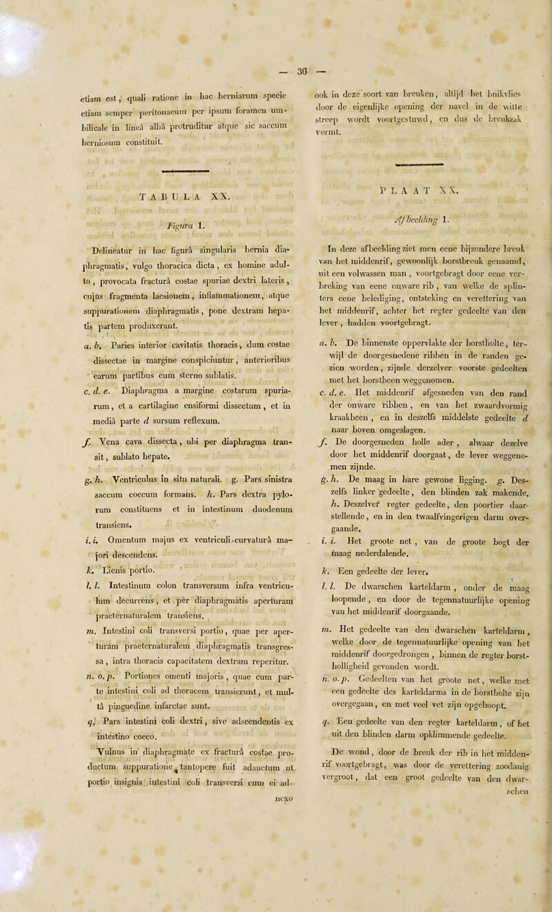 30 — etiam est, quali ratione in hac hcrniarum specie etiam semper peritonaeum per ipsum foramen um- Lilicale in linca alba protruditur atque sic saccum lierniosum constituit. TABULA XX. Fignra 1. Dclinealur in hac Figun\ singularis hernia dia- pliragmatis, vulgo thoracica dicta , ex homine adul- to , provocata fractura costae spuriae dextri lateris , cujus fragmenta laesionem, inflammationem, atque suppurationem diapliragmatis, pone dextram hepa* tis partem produxerant. i a. b. Paries interior cavitatis thoracis, dum costae dissectae in margine conspiciuntur, anterioribus earum partibus cum sterno sublatis. c. cl. e. Diaphragma a margine costarum spuria- rum, et a cartilagine ensiformi dissectum , et in media parte cl sursum reflexum. f. Yena cava dissecta, ubi per diaphragma tran¬ sit , sublato hepate. g. h. Ventriculus in situ naturali. g. Pars sinistra saccum coecum formans. h. Pars dextra pylo- rum constituens et in intestinum duodenum transiens. i, it Omentum majus ex ventriculi -curvatura ma- jori descendens. A. Lienis portio. l. 1. Intestinum colon transversum infra ventricu- lum decurrens , et per diapliragmatis aperturam praeternaturalem transiens. m. Intestini coli transversi portio, rpiae per aper- turam praeternaturalem diapliragmatis transgres- sa , intra thoracis capacitatem dextram reperitur. n. o. p. Portiones omenti majoris , quae cum par¬ te intestini coli ad thoracem transierunt, et mul- ' ta pinguedine infarctae sunt. q, Pars intestini coli dextri, sive adscendentis ex intestino coeco. Vulnus in ,diaphragmate ex fractura costae pro- ductum suppuratione ^ tantopere fuit adauctum ut portio insignis intestini coli transversi cum ei ad- ook in deze soort van breuken, allijd hot buikvlies door de eigenlijke opening der navel in de witte streep wordt voorlgesluwd, cn dus de breukzak vormt. P L A A T X X. /Ifbedding 1. In deze afbeclding ziet men eene bijzondere breuk van bet middenrif, gewoonlijk borstbreuk genaamd, uit een volwassen man , voortgebragt door eene ver- breking van eene onware rib , van welke de splin¬ ters eene belediging, ontsteking en verettering van bet middenrif, achter bet regter gedeelte van den lever , hadden voortgebragt. a. b. De binnenste oppervlakte der borstholte, ter- vvijl de doorgesnedene ribben in de randen ge- zien worden, zijnde derzelver voorste gedeelten met bet borstbeen weggenomen. c. d. e. Het middenrif afgesneden van den rand der onware ribben , en van bet zwaardvormie kraakbeen , en in deszelfs middelste gedeelte d naar boven omgeslagen. f. De doorgesneden bolle ader , alwaar dezelve door bet middenrif doorgaat, de lever weggeno¬ men zijnde. g. h. De maag in bare gewone ligging. g. Des¬ zelfs linker gedeelte, den blinden zak makende, h. Deszelver regter gedeelte, den poortier daar- stellende, en in den twaalfvingerigen darm over- gaande, i. i. Het groote net , van de groote bogt der fnaag nederdalende. k. Een gedeelte der lever. % l■ l■ De dwarseben karteldarm , onder de maae loopende , en door de tegennatuurlijke opening van bet middenrif doorgaande. m. Het gedeelte van den dwarseben karteldarm, Welke door de tegennatuurlijke opening van bet middenrif doorgedrongen , binnen de regter borst- holligheid gevonden wordt. n. o. p. Gedeelten van bet groote net, welke met een gedeelte des karteldarms in de borstholte zijn overgegaan, en met veel vet zijn opgehoopt. q. Een gedeelte van den regter karteldarm , of bet uit den blinden darm opklimmende gedeelte. De wond, door de breuk der rib in bet midden¬ rif voortgebragt, was door de verettering zoodanig vergroot, dat een groot gedeelte van den dwar¬ seben nexo